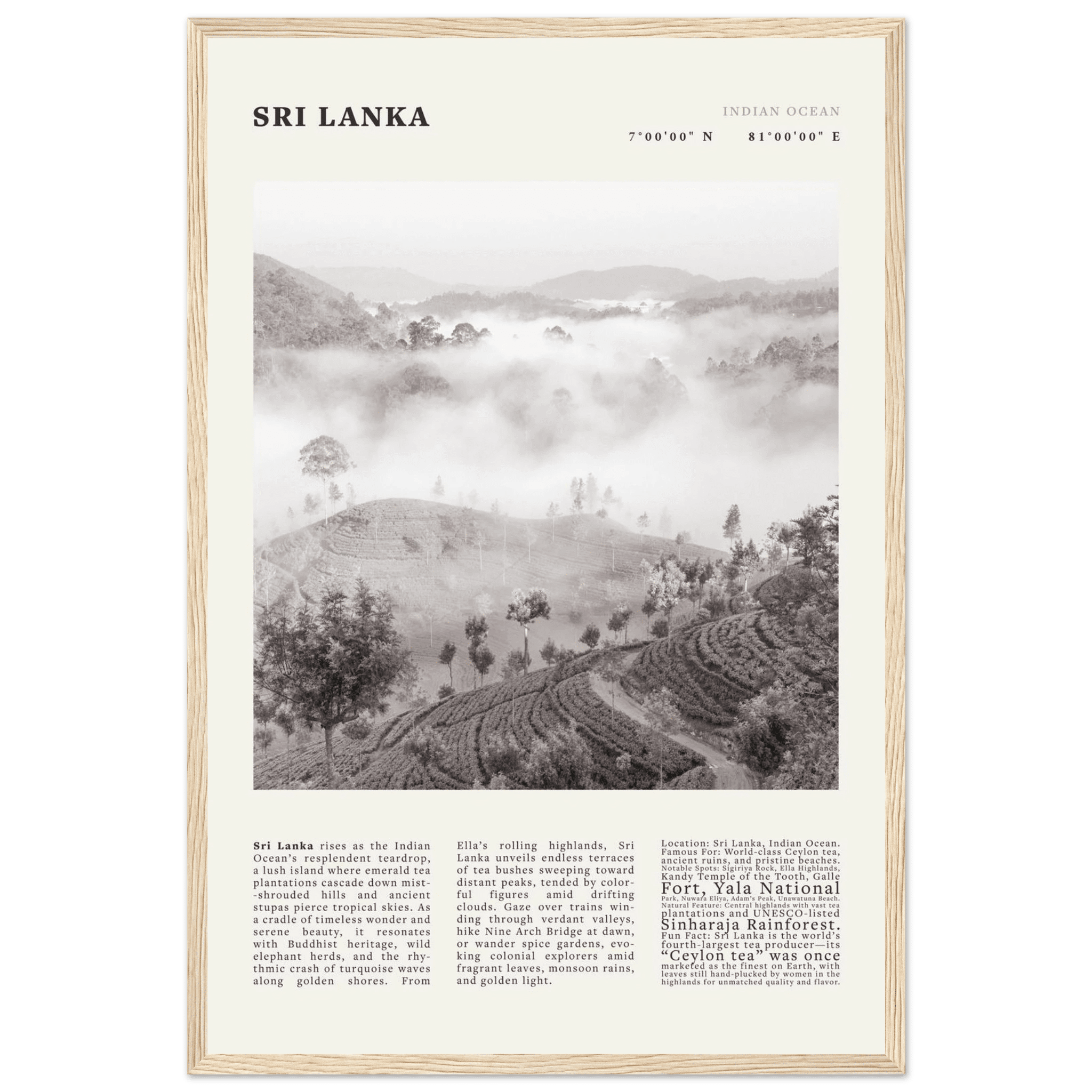 Sri Lanka Poster Black and White – Vintage Ceylon Tea Plantation Print (Digital & Printed Options) - Evergreen Posters