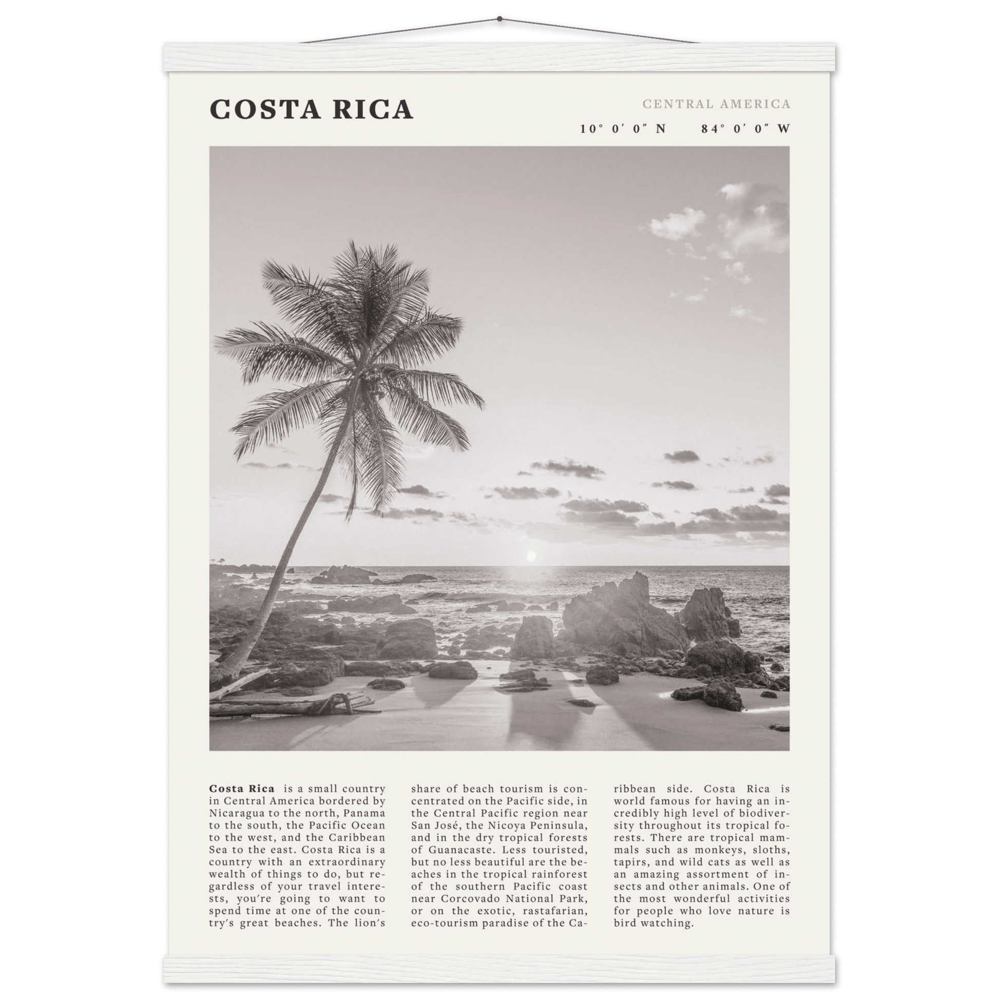 Costa Rica Poster | Black & White Palm Tree Beach Wall Art | Travel Print Decor - Evergreen Posters