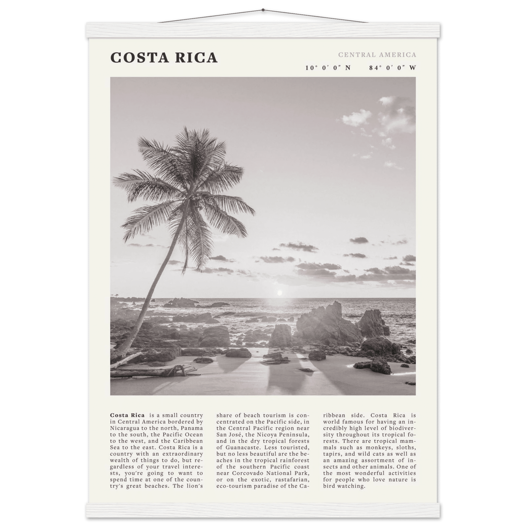 Costa Rica Poster | Black & White Palm Tree Beach Wall Art | Travel Print Decor - Evergreen Posters