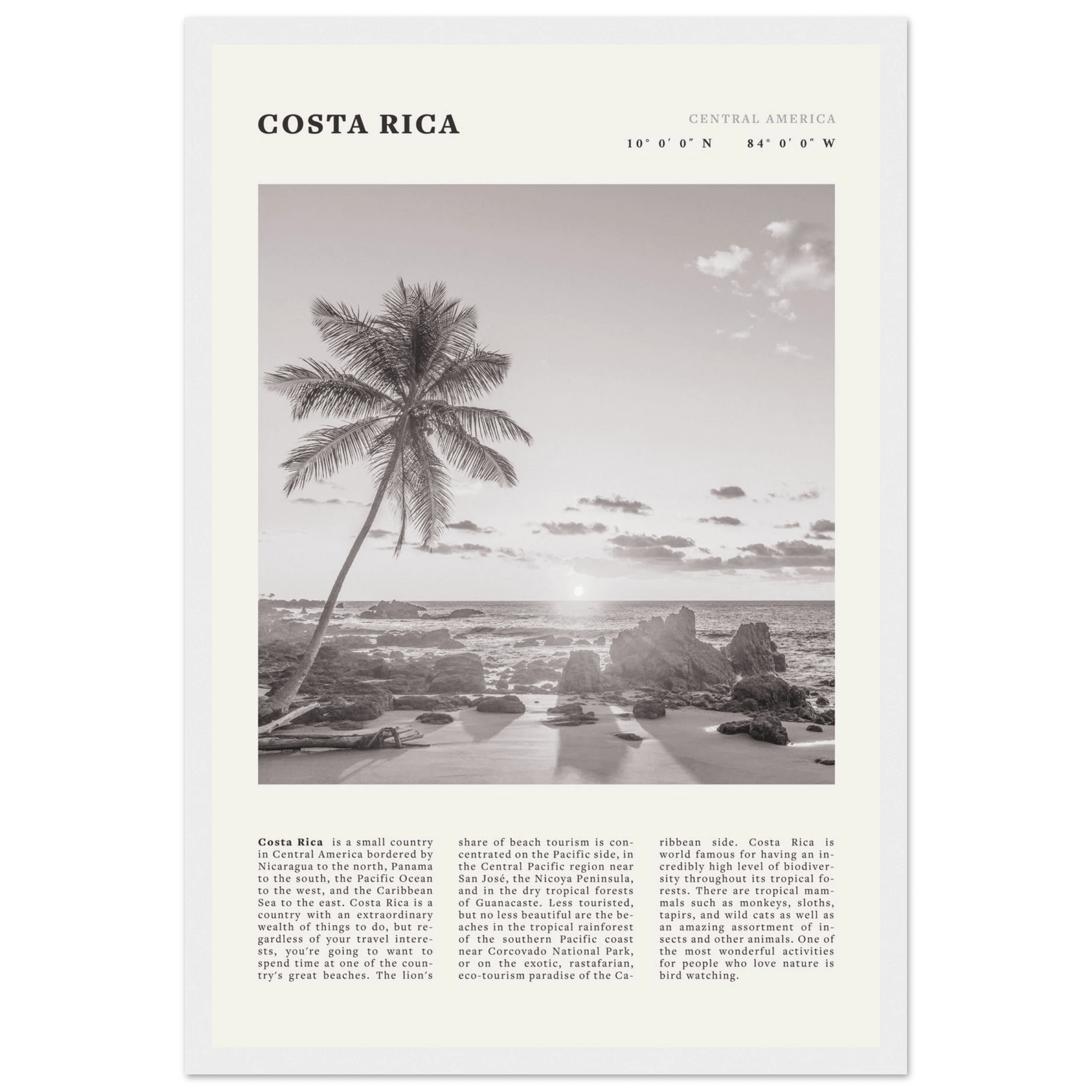 Costa Rica Poster | Black & White Palm Tree Beach Wall Art | Travel Print Decor - Evergreen Posters