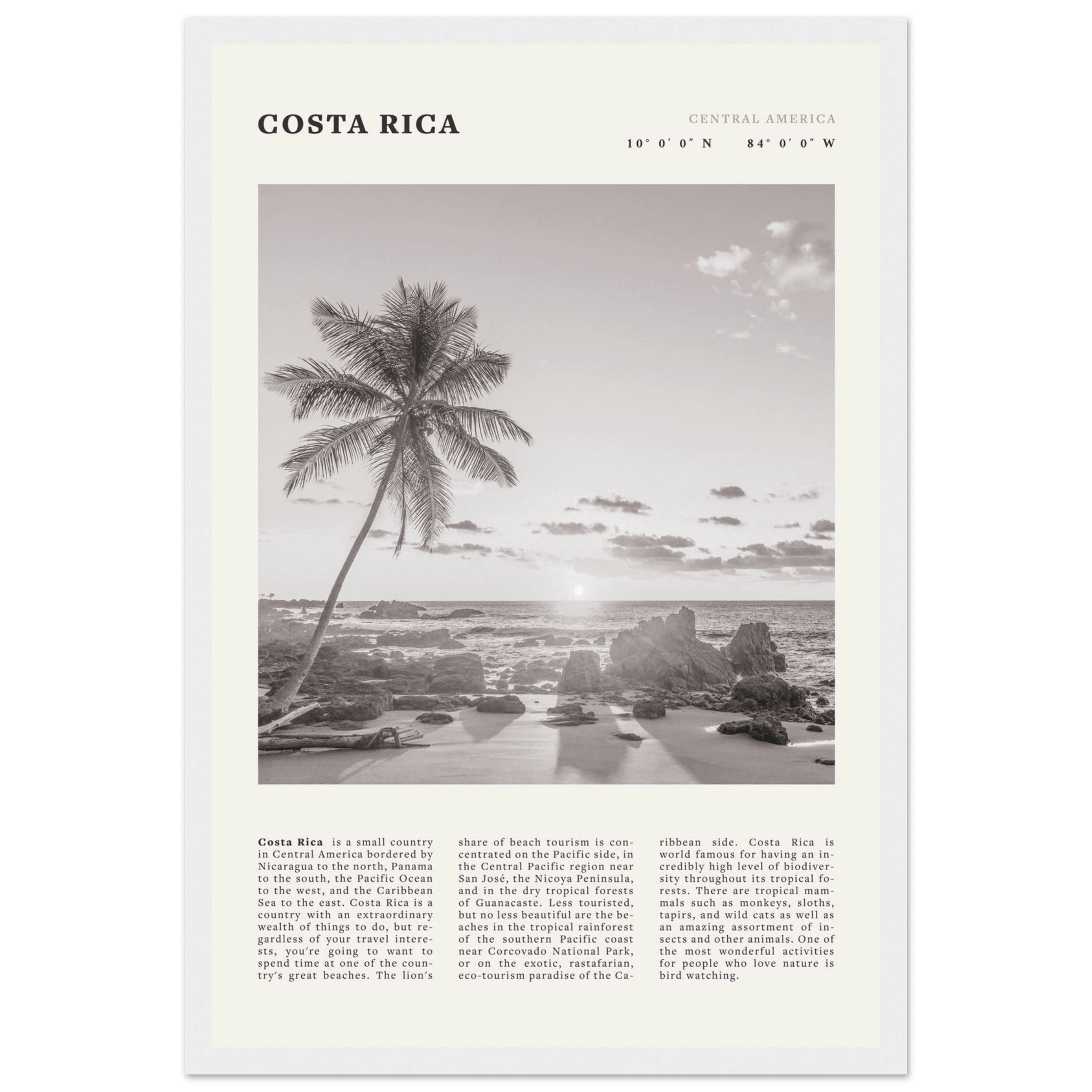 Costa Rica Poster | Black & White Palm Tree Beach Wall Art | Travel Print Decor - Evergreen Posters