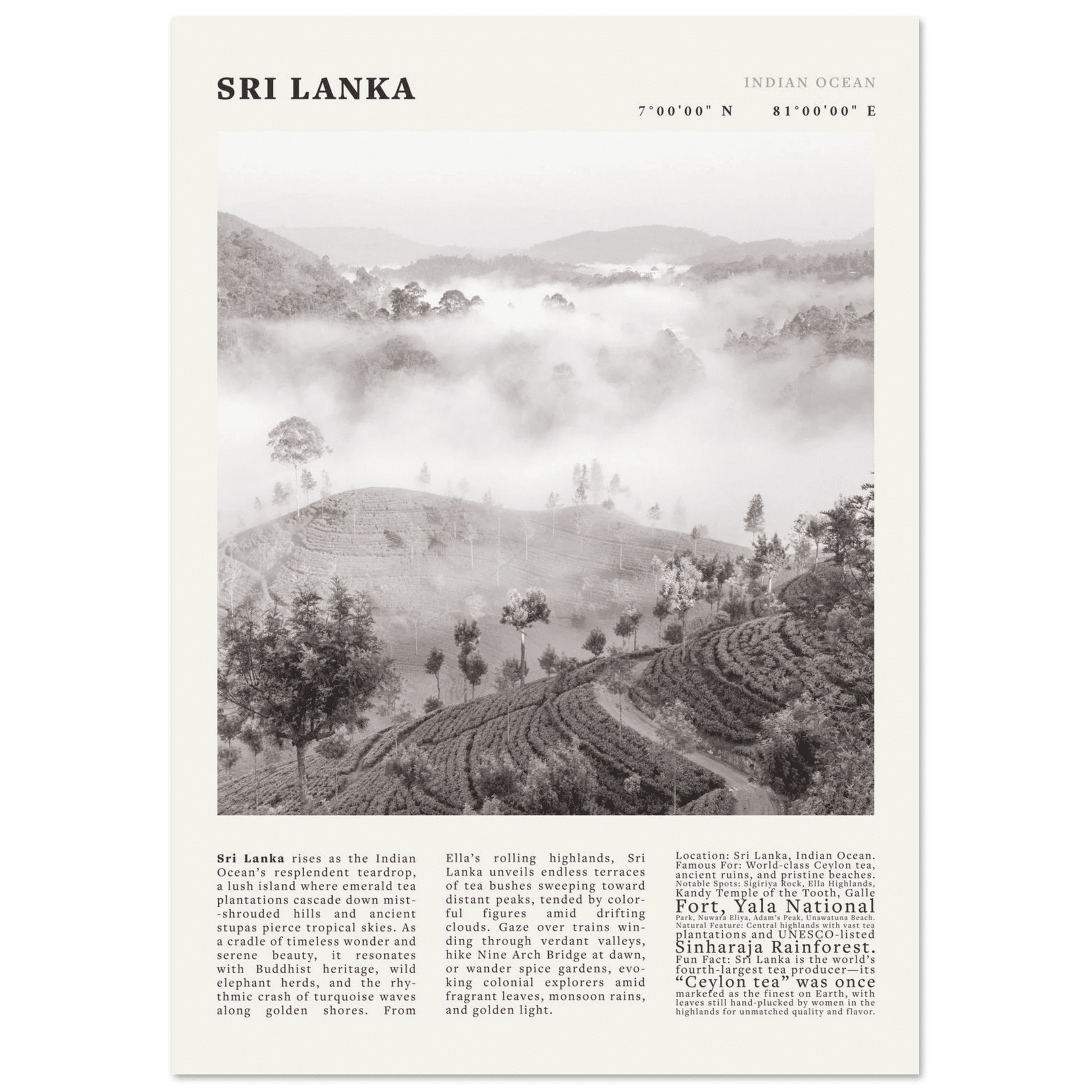 Sri Lanka Poster Black and White – Vintage Ceylon Tea Plantation Print (Digital & Printed Options) - Evergreen Posters