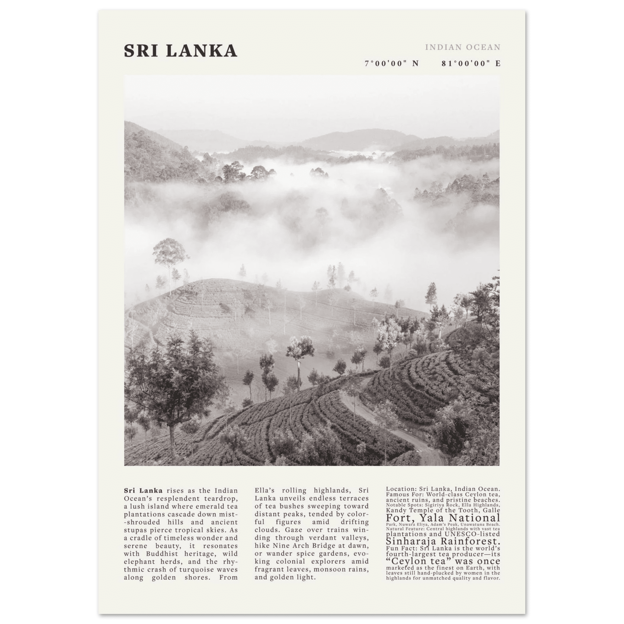 Sri Lanka Poster Black and White – Vintage Ceylon Tea Plantation Print (Digital & Printed Options) - Evergreen Posters