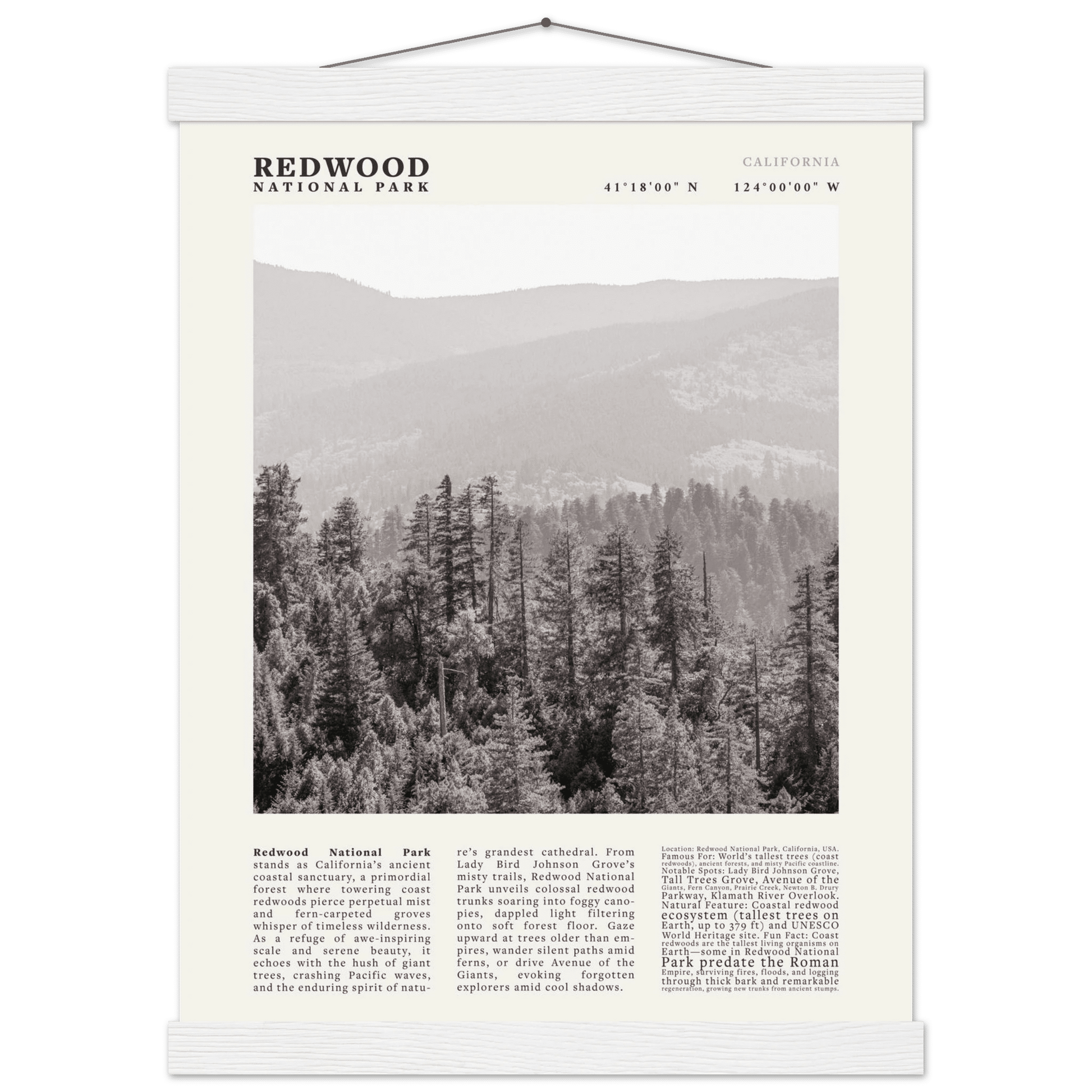 Redwood National Park Poster Black and White – Vintage Foggy Redwood Forest Print - Evergreen Posters