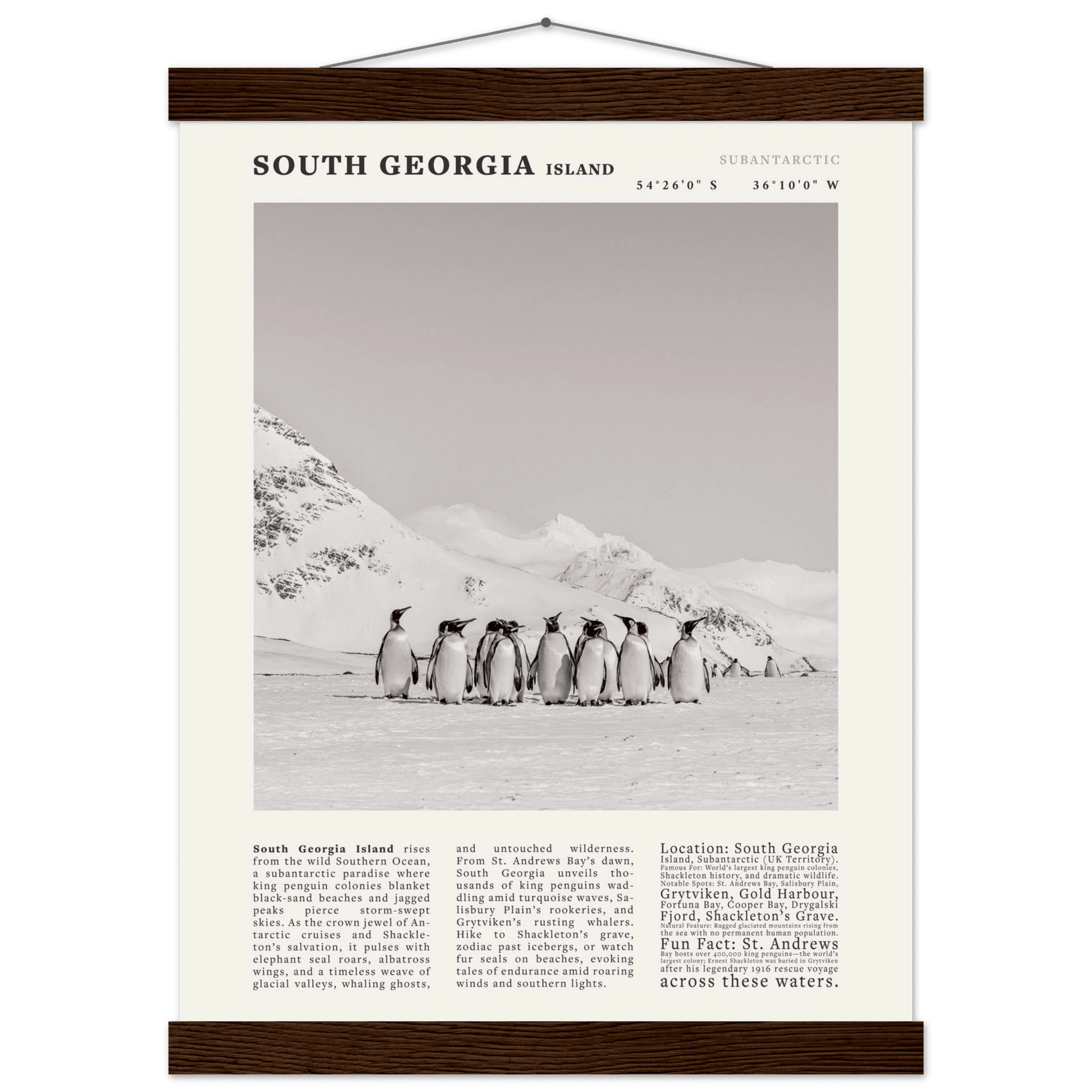 South Georgia Island Black and White Vintage Poster - Evergreen Posters