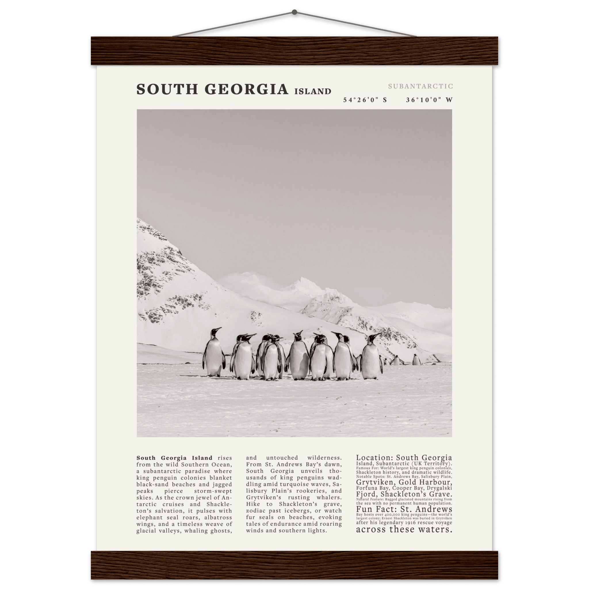 South Georgia Island Black and White Vintage Poster - Evergreen Posters