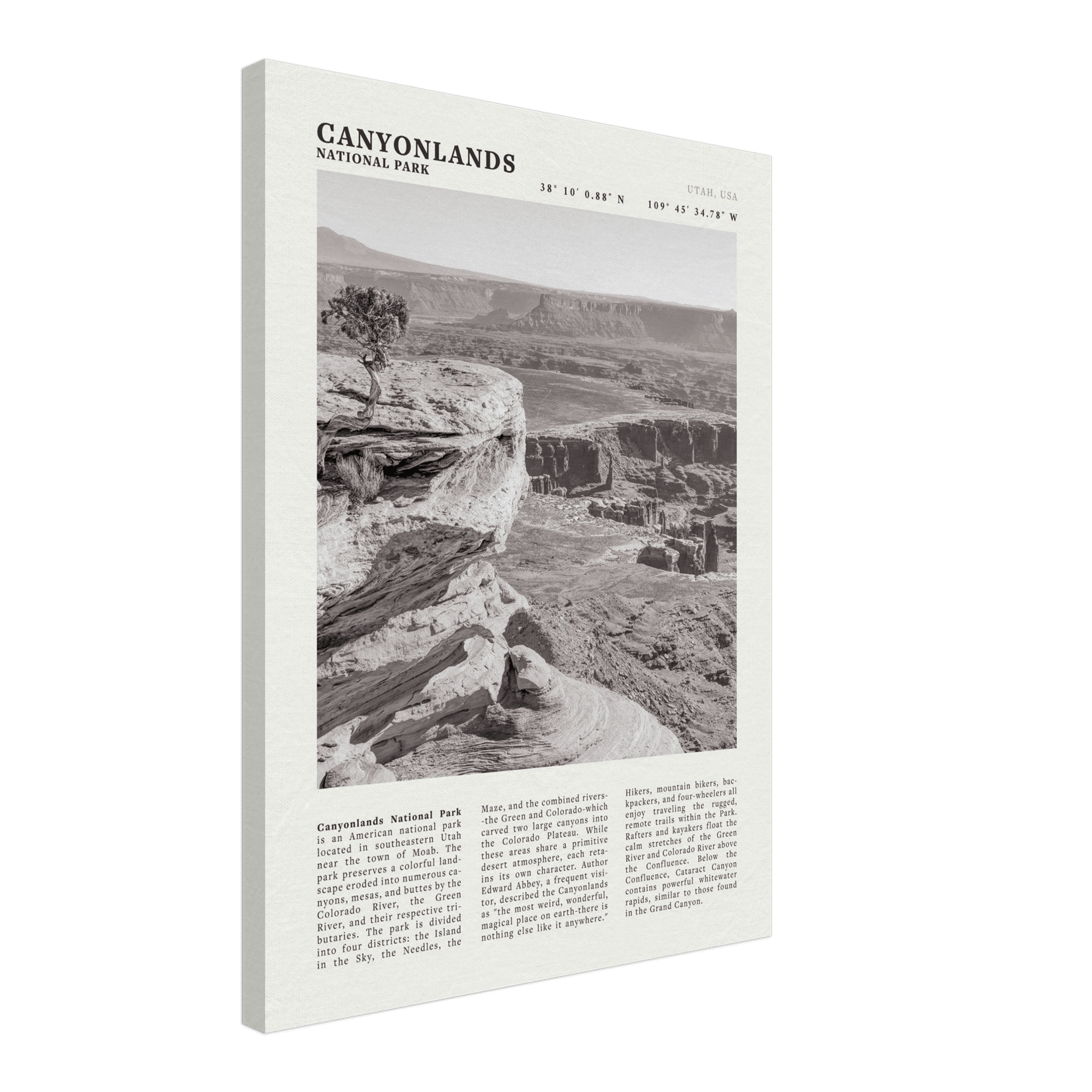 Canyonlands National Park Poster | Black & White Utah Wall Art | Canyon Travel Print - Evergreen Posters
