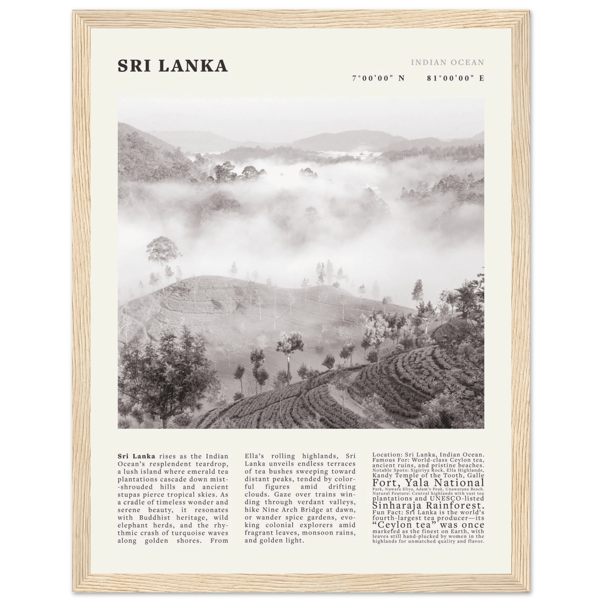 Sri Lanka Poster Black and White – Vintage Ceylon Tea Plantation Print (Digital & Printed Options) - Evergreen Posters