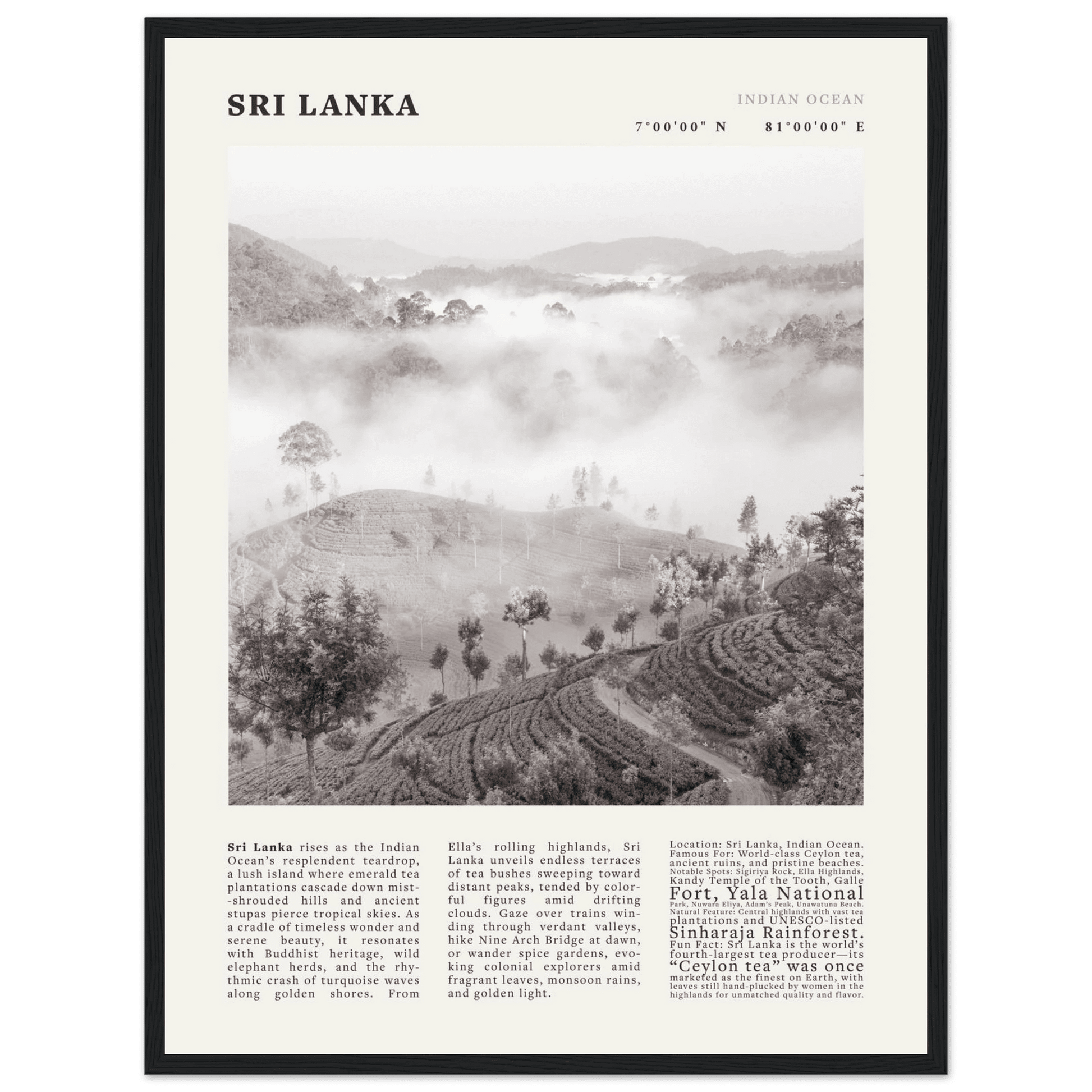 Sri Lanka Poster Black and White – Vintage Ceylon Tea Plantation Print (Digital & Printed Options) - Evergreen Posters