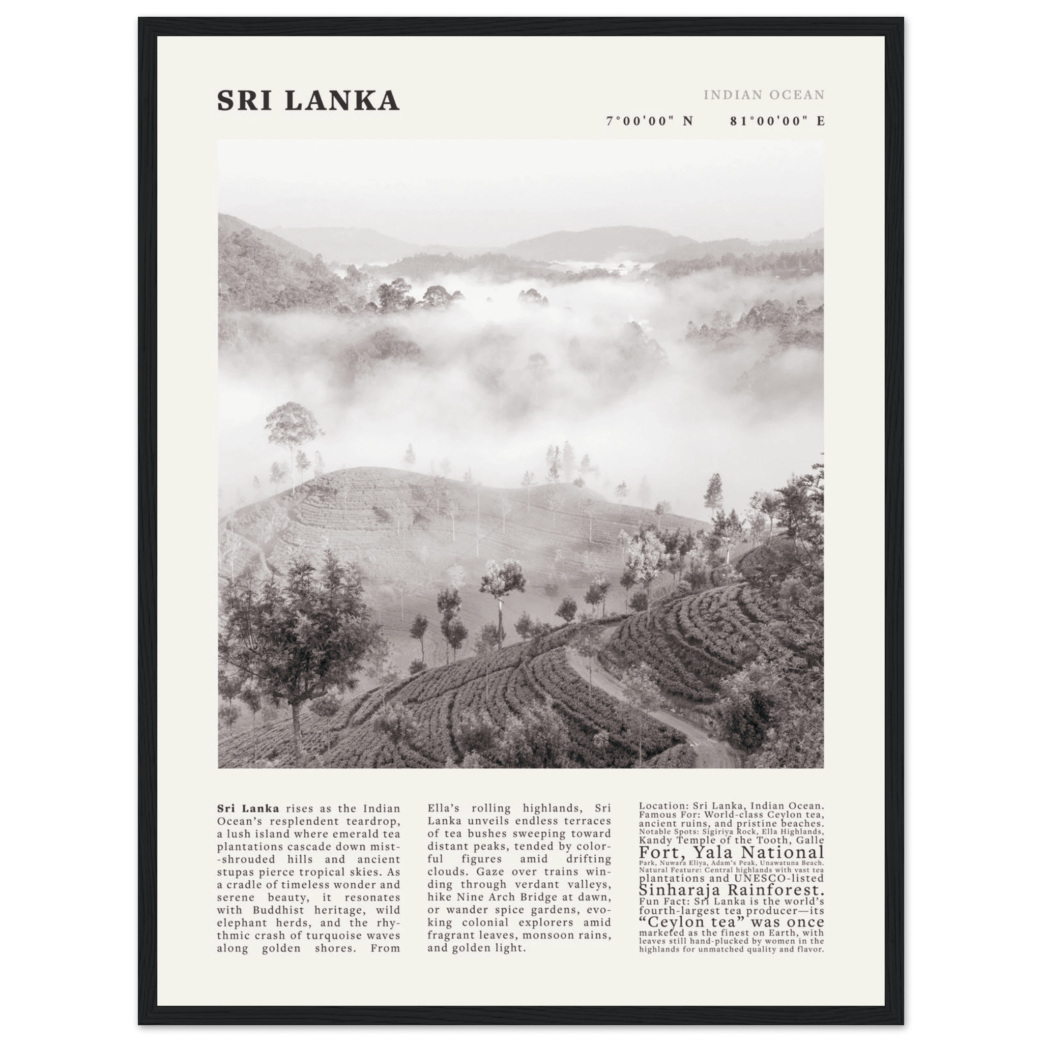 Sri Lanka Poster Black and White – Vintage Ceylon Tea Plantation Print (Digital & Printed Options) - Evergreen Posters