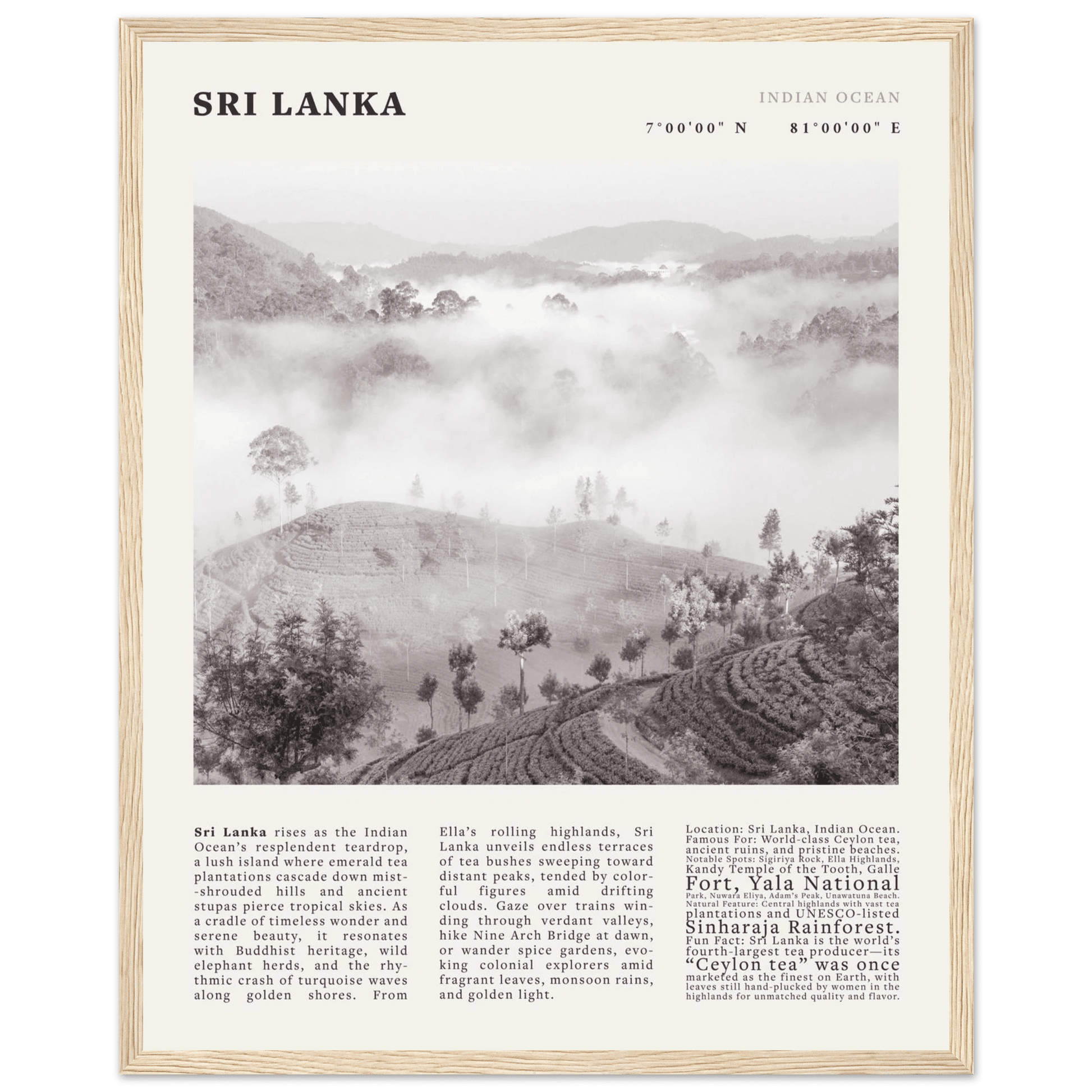 Sri Lanka Poster Black and White – Vintage Ceylon Tea Plantation Print (Digital & Printed Options) - Evergreen Posters
