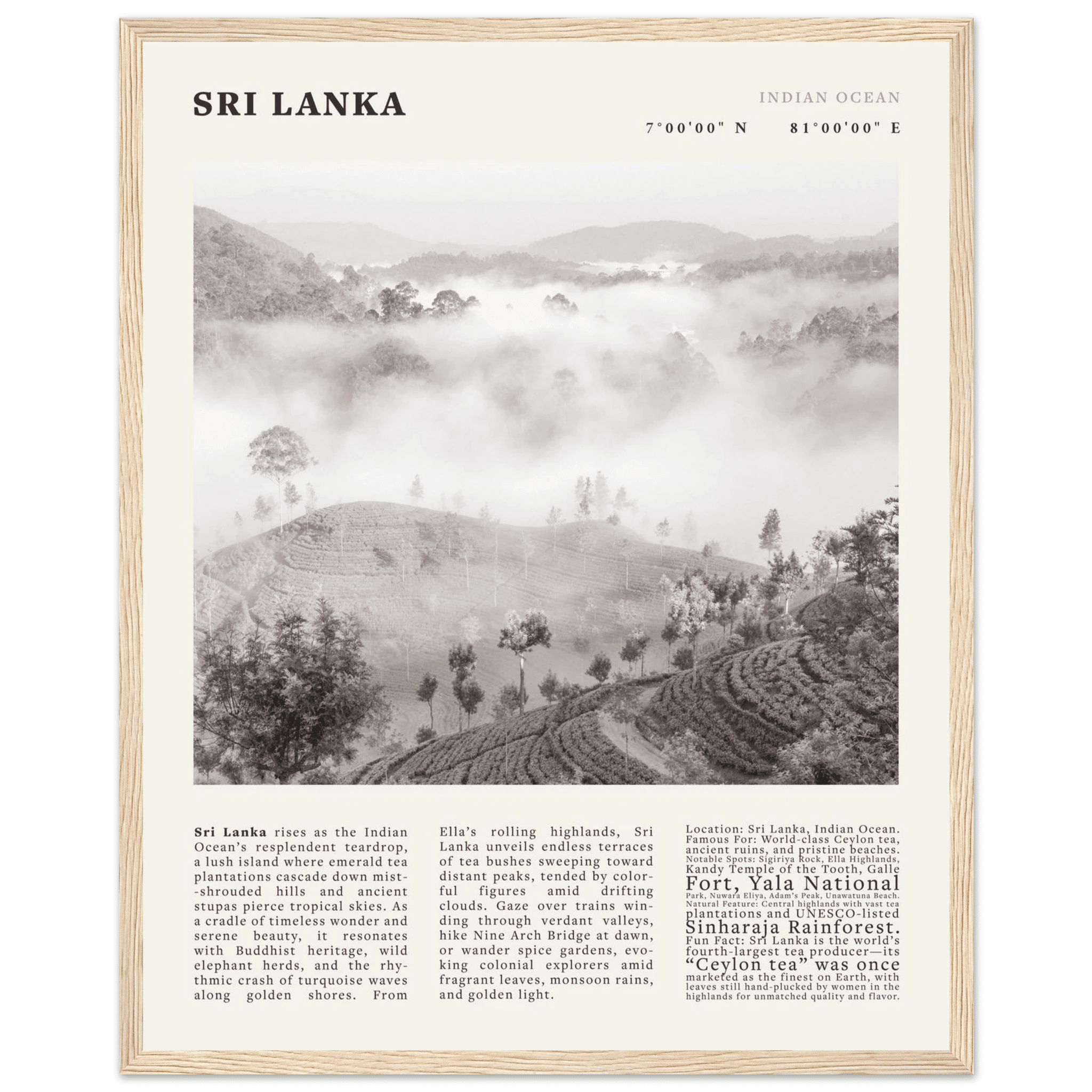 Sri Lanka Poster Black and White – Vintage Ceylon Tea Plantation Print (Digital & Printed Options) - Evergreen Posters
