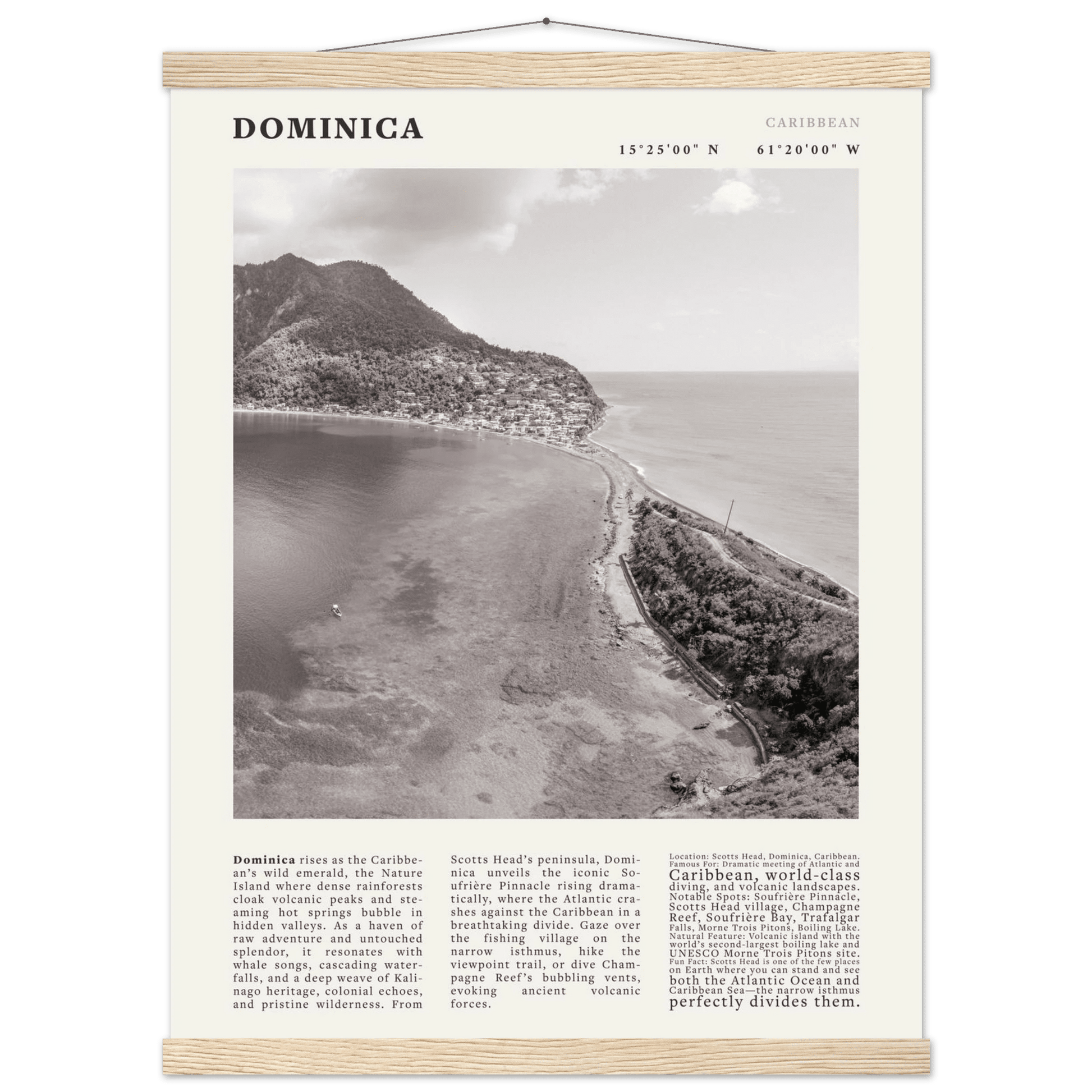 Dominica Poster Black and White – Vintage Caribbean Rainforest Island Print (Digital & Printed Options) - Evergreen Posters