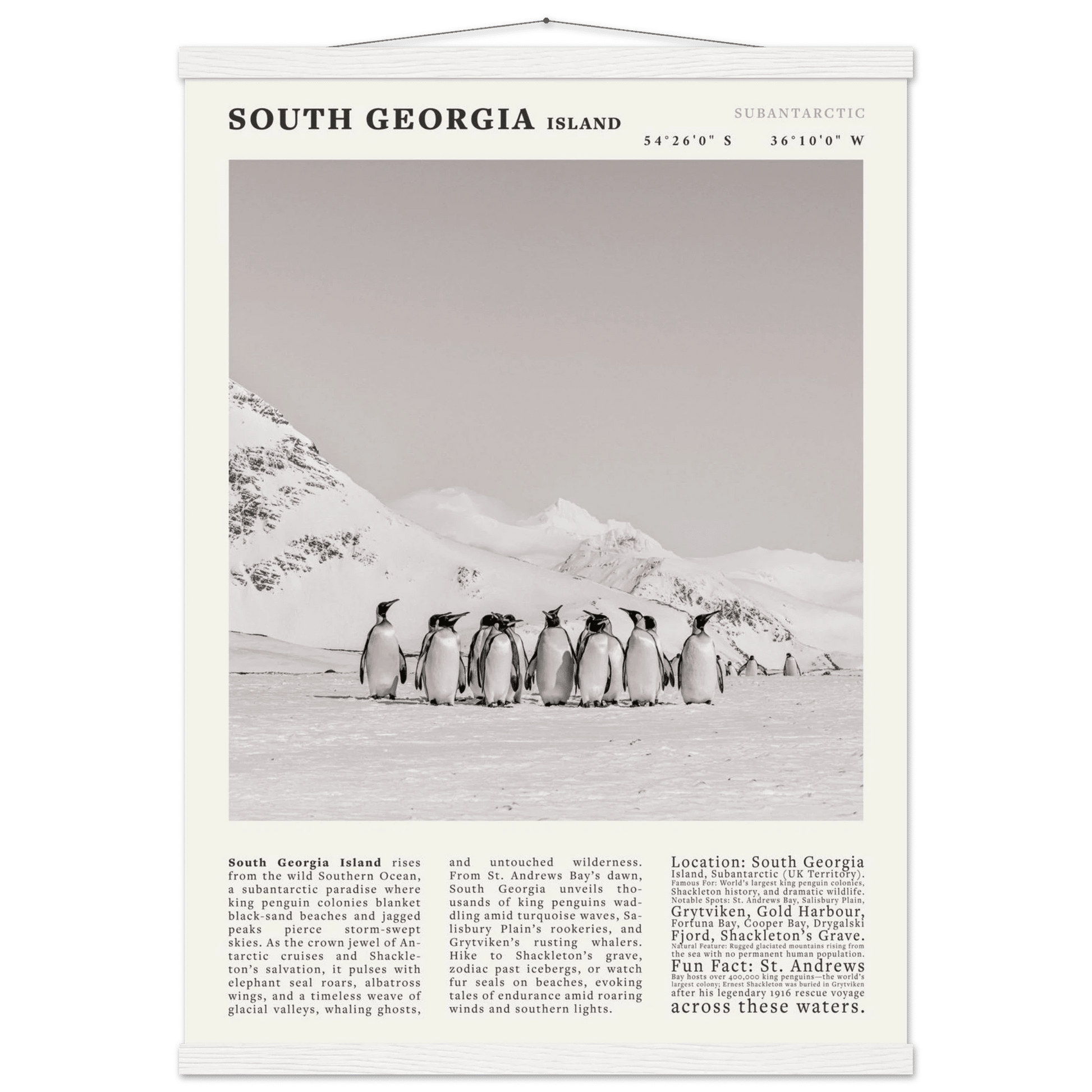 South Georgia Island Black and White Vintage Poster - Evergreen Posters