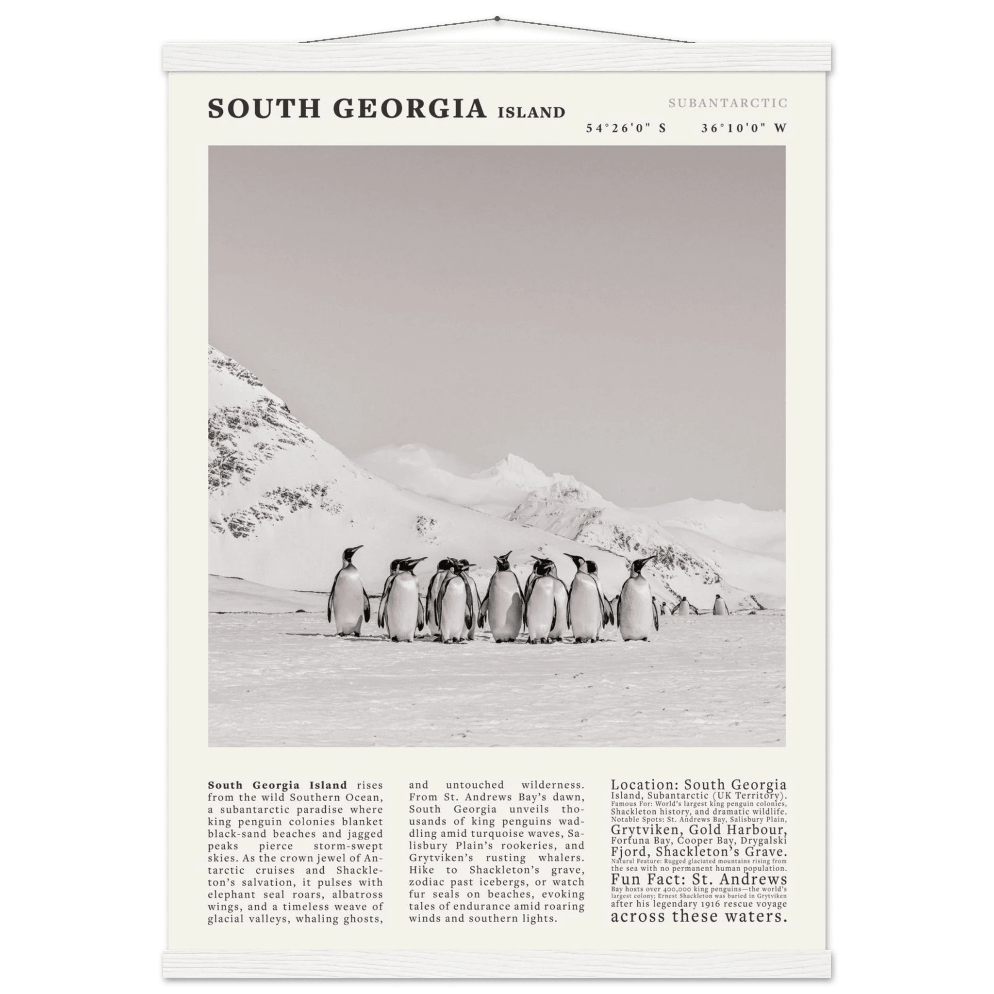 South Georgia Island Black and White Vintage Poster - Evergreen Posters