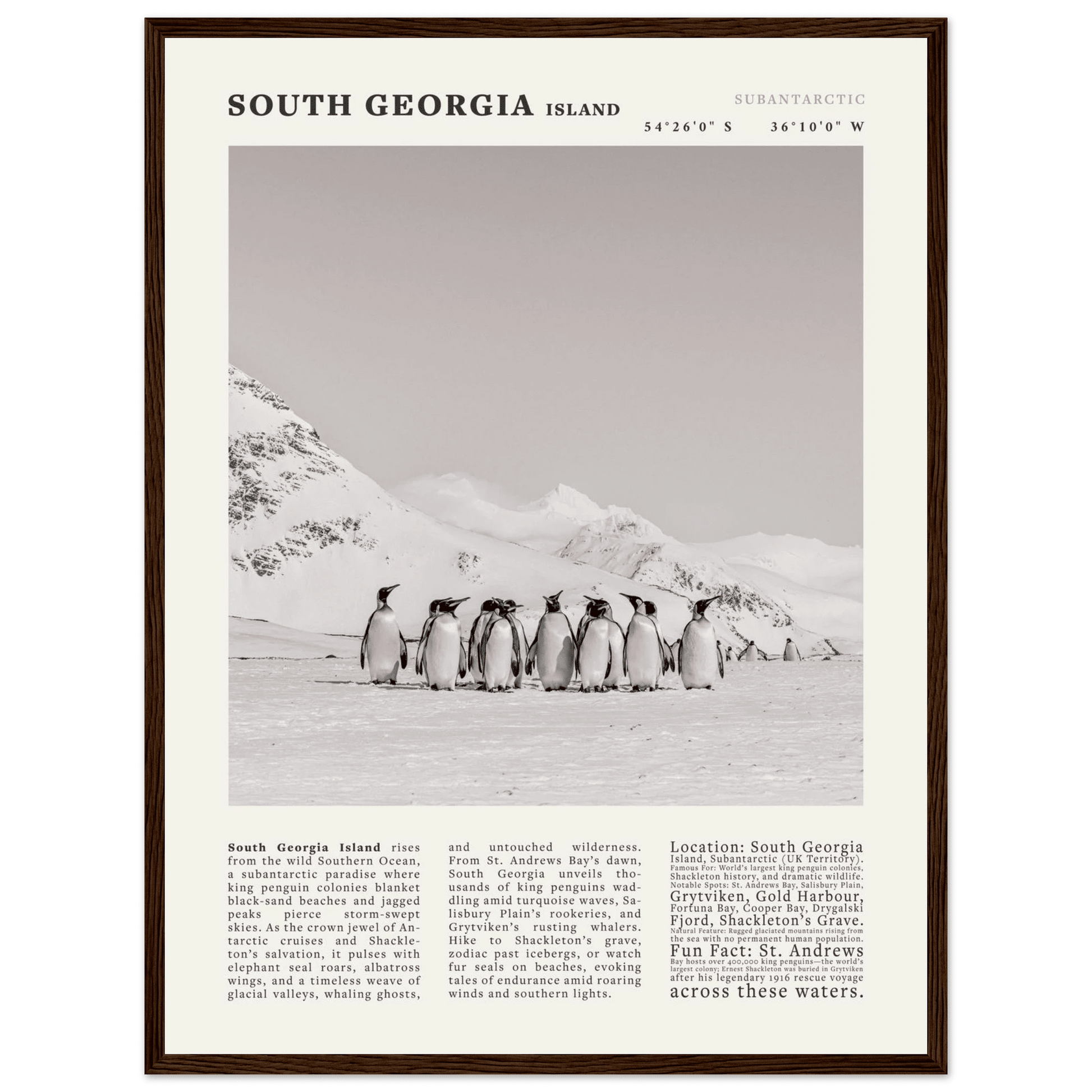 South Georgia Island Black and White Vintage Poster - Evergreen Posters