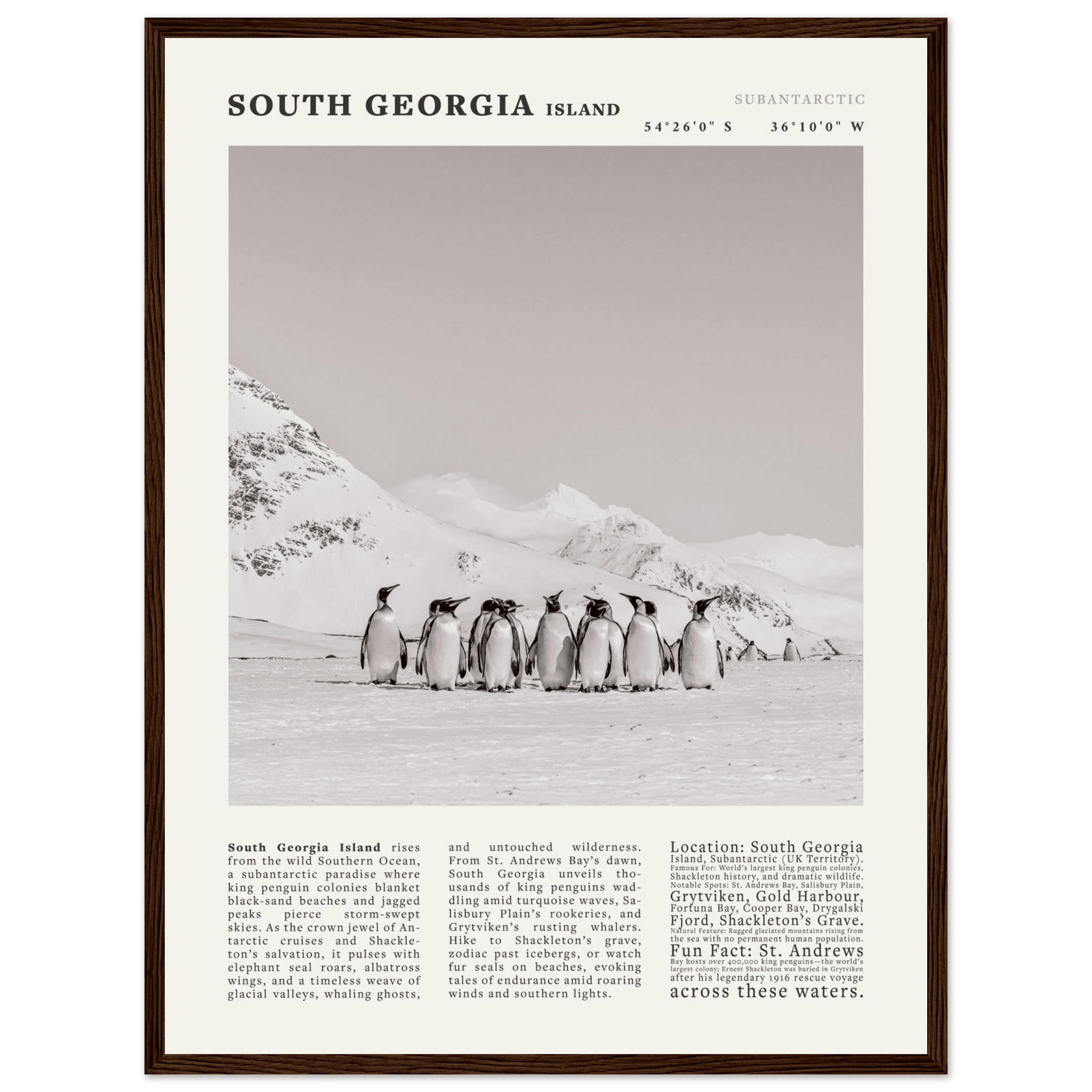 South Georgia Island Black and White Vintage Poster - Evergreen Posters