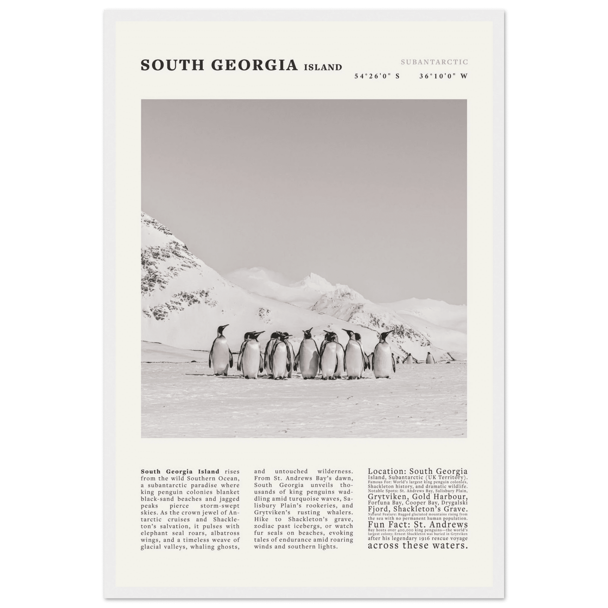 South Georgia Island Black and White Vintage Poster - Evergreen Posters