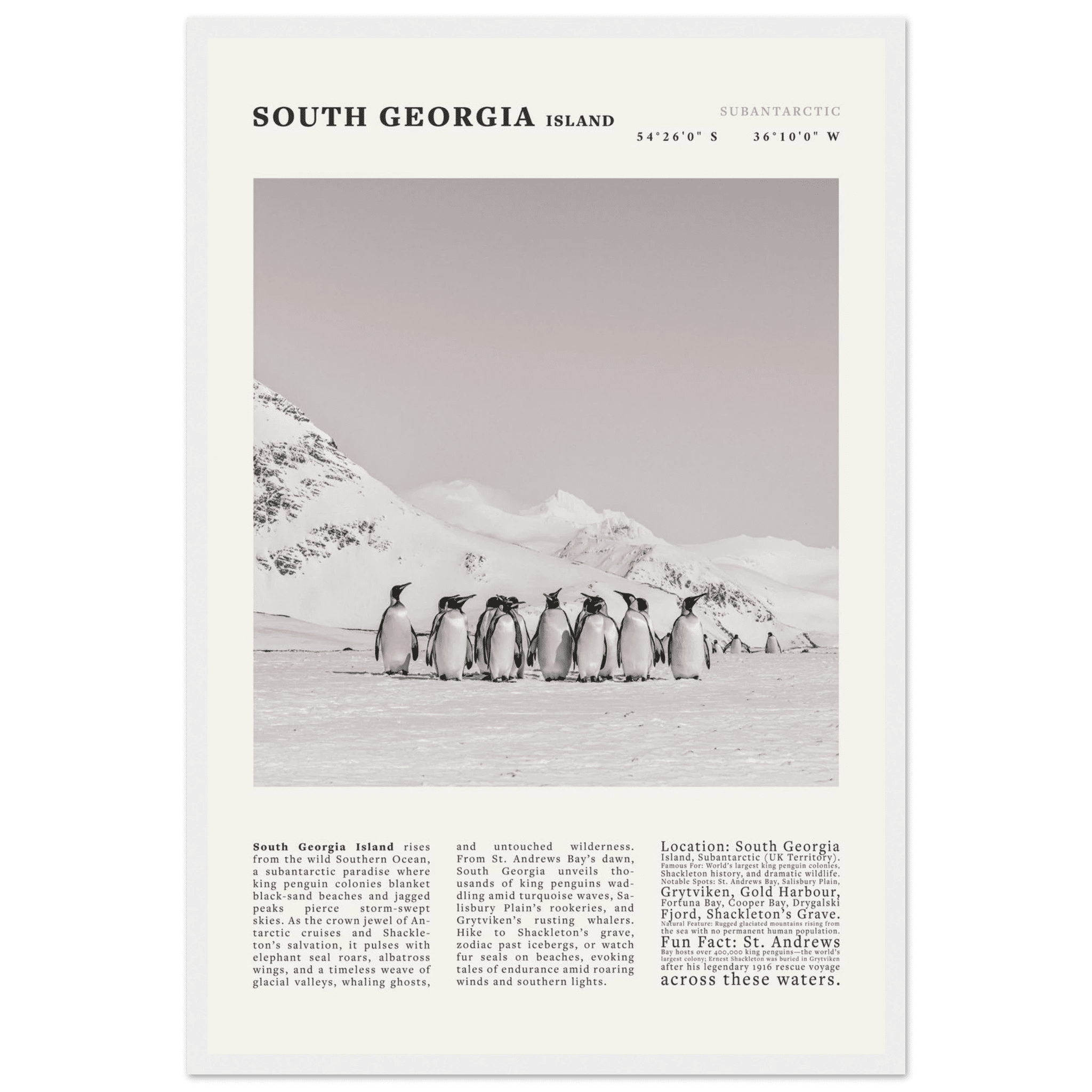 South Georgia Island Black and White Vintage Poster - Evergreen Posters