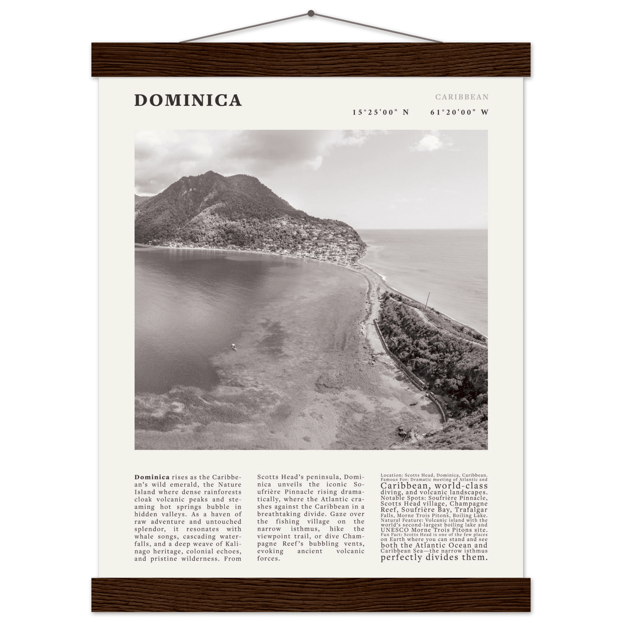 Dominica Poster Black and White – Vintage Caribbean Rainforest Island Print (Digital & Printed Options) - Evergreen Posters