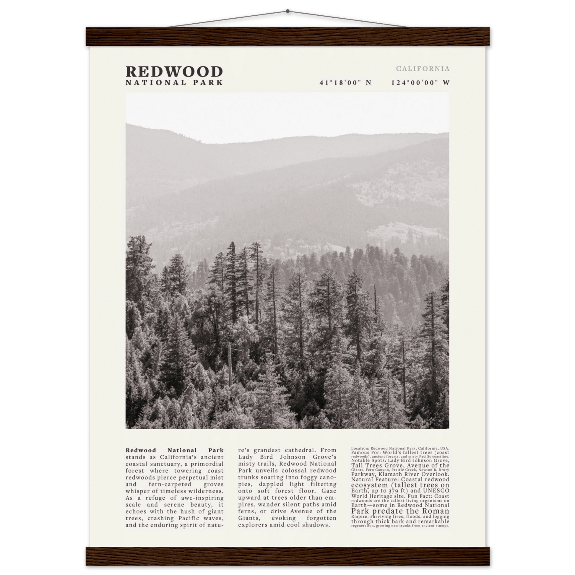 Redwood National Park Poster Black and White – Vintage Foggy Redwood Forest Print - Evergreen Posters