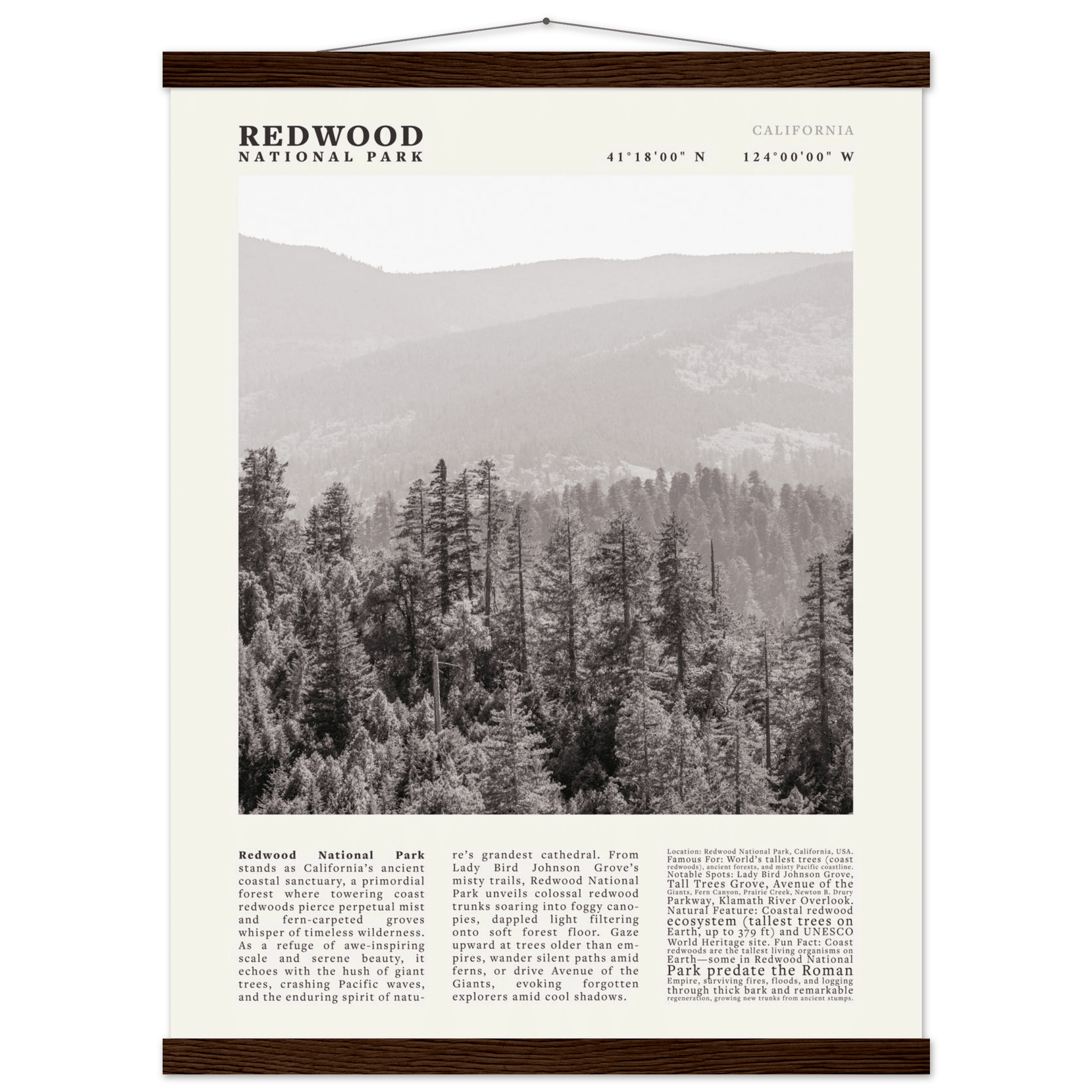 Redwood National Park Poster Black and White – Vintage Foggy Redwood Forest Print - Evergreen Posters