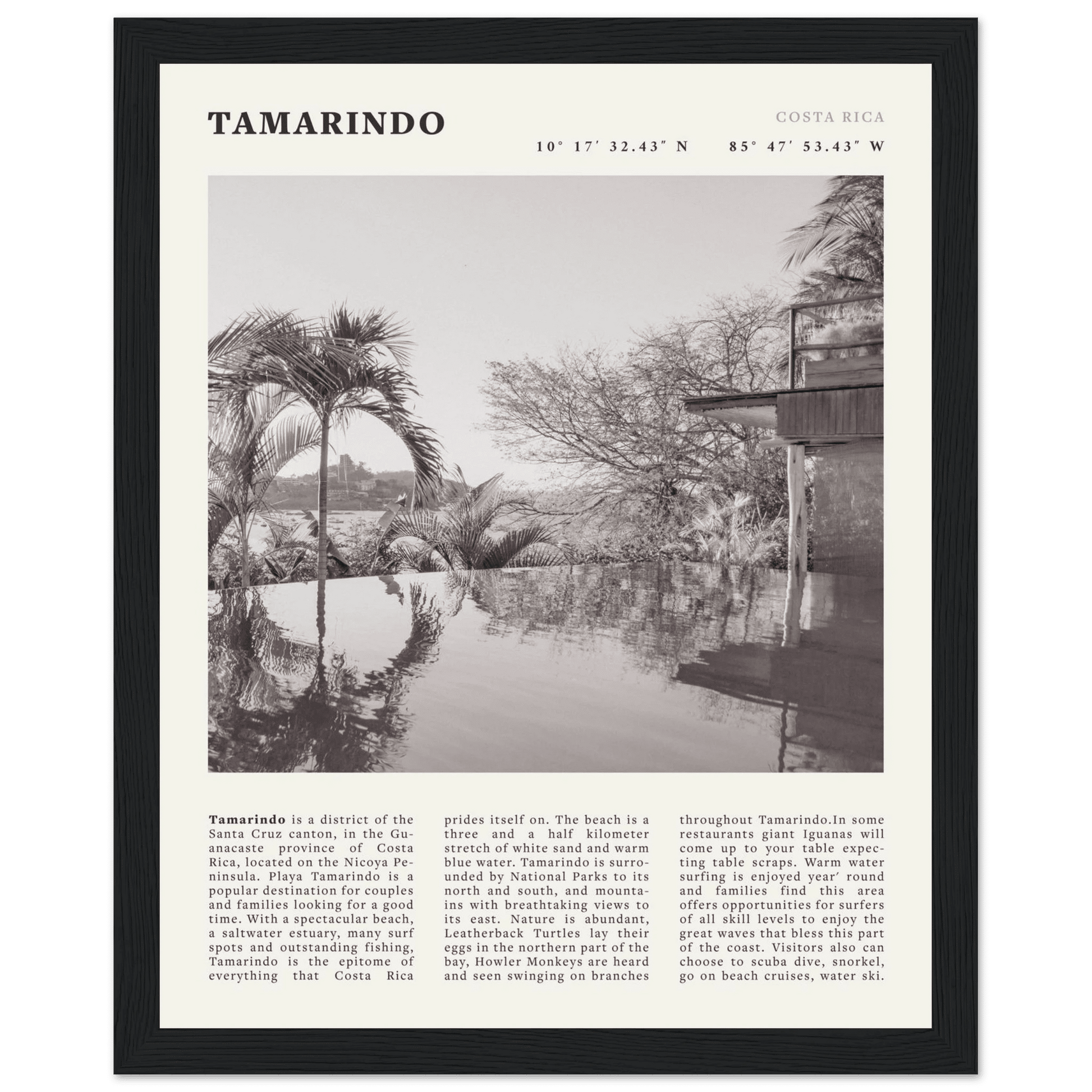 Tamarindo Poster | Black & White Costa Rica Beach Wall Art | Surf Travel Print - Evergreen Posters