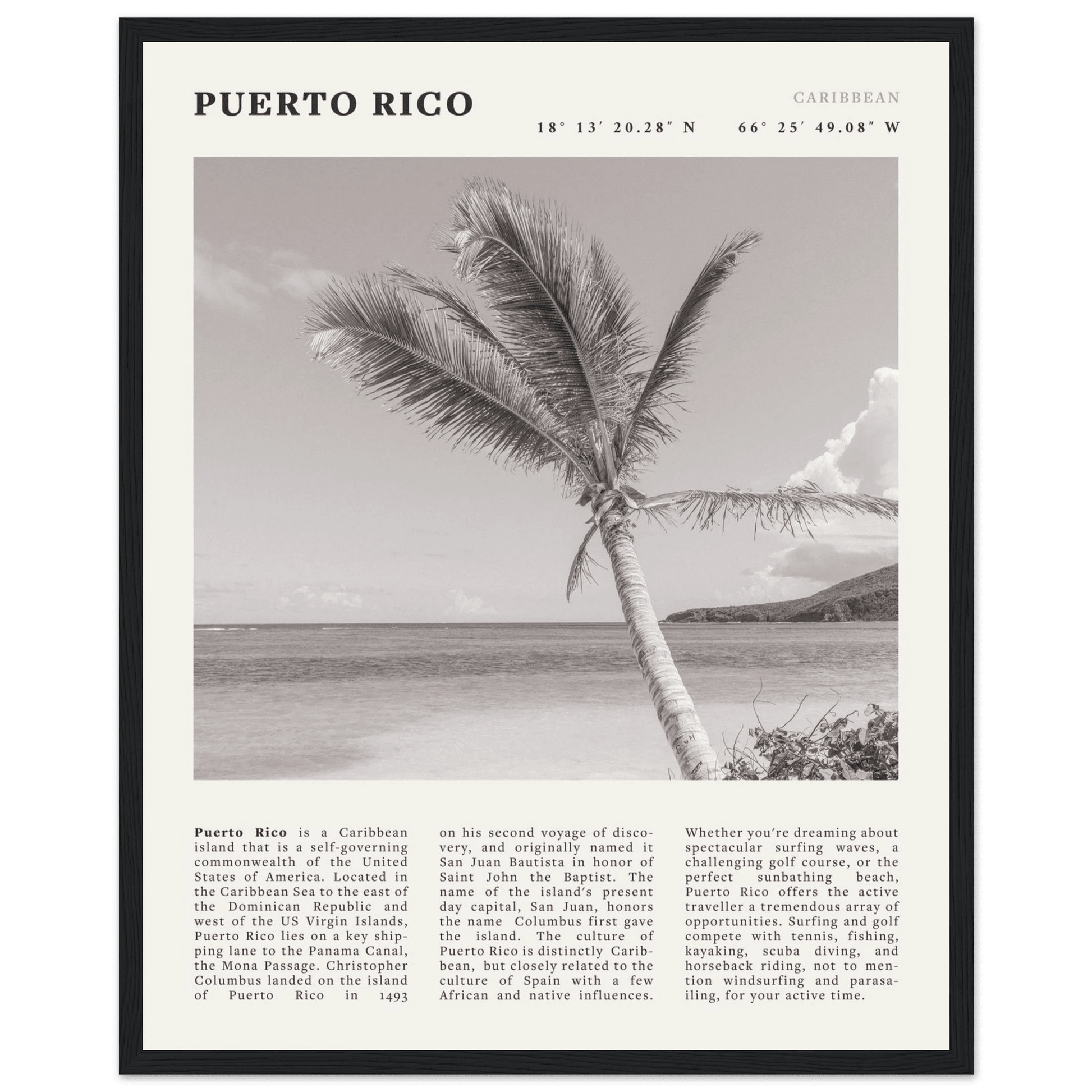 Puerto Rico Poster Black and White – Vintage Caribbean Palm Beach Print (Digital & Printed Options) - Evergreen Posters