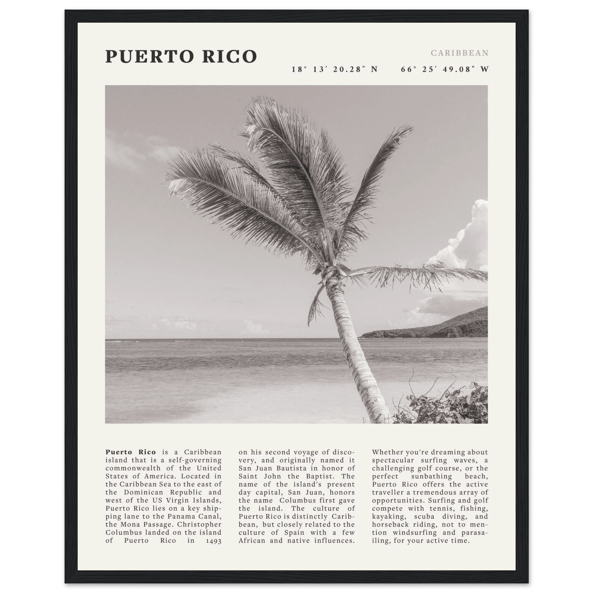 Puerto Rico Poster Black and White – Vintage Caribbean Palm Beach Print (Digital & Printed Options) - Evergreen Posters