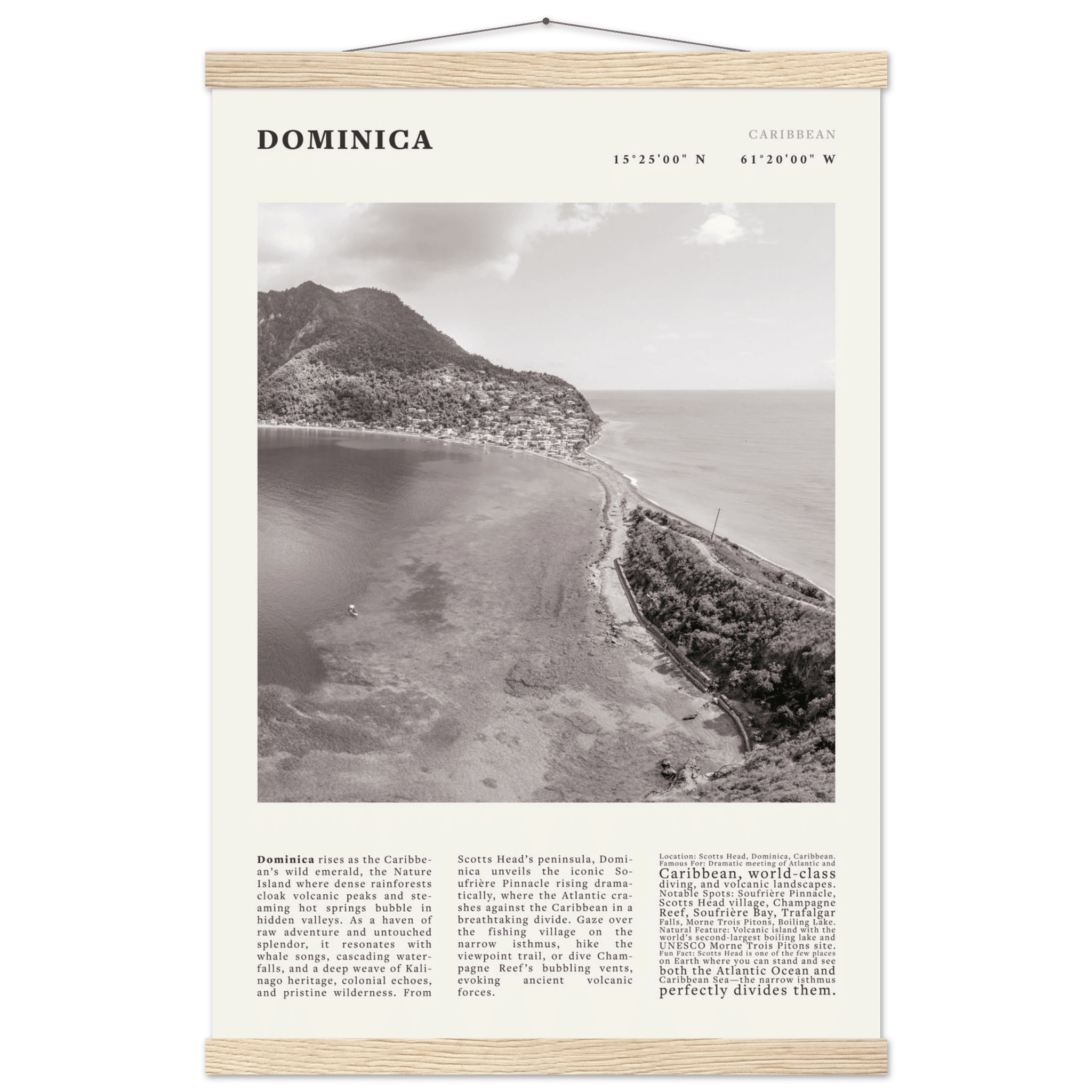 Dominica Poster Black and White – Vintage Caribbean Rainforest Island Print (Digital & Printed Options) - Evergreen Posters