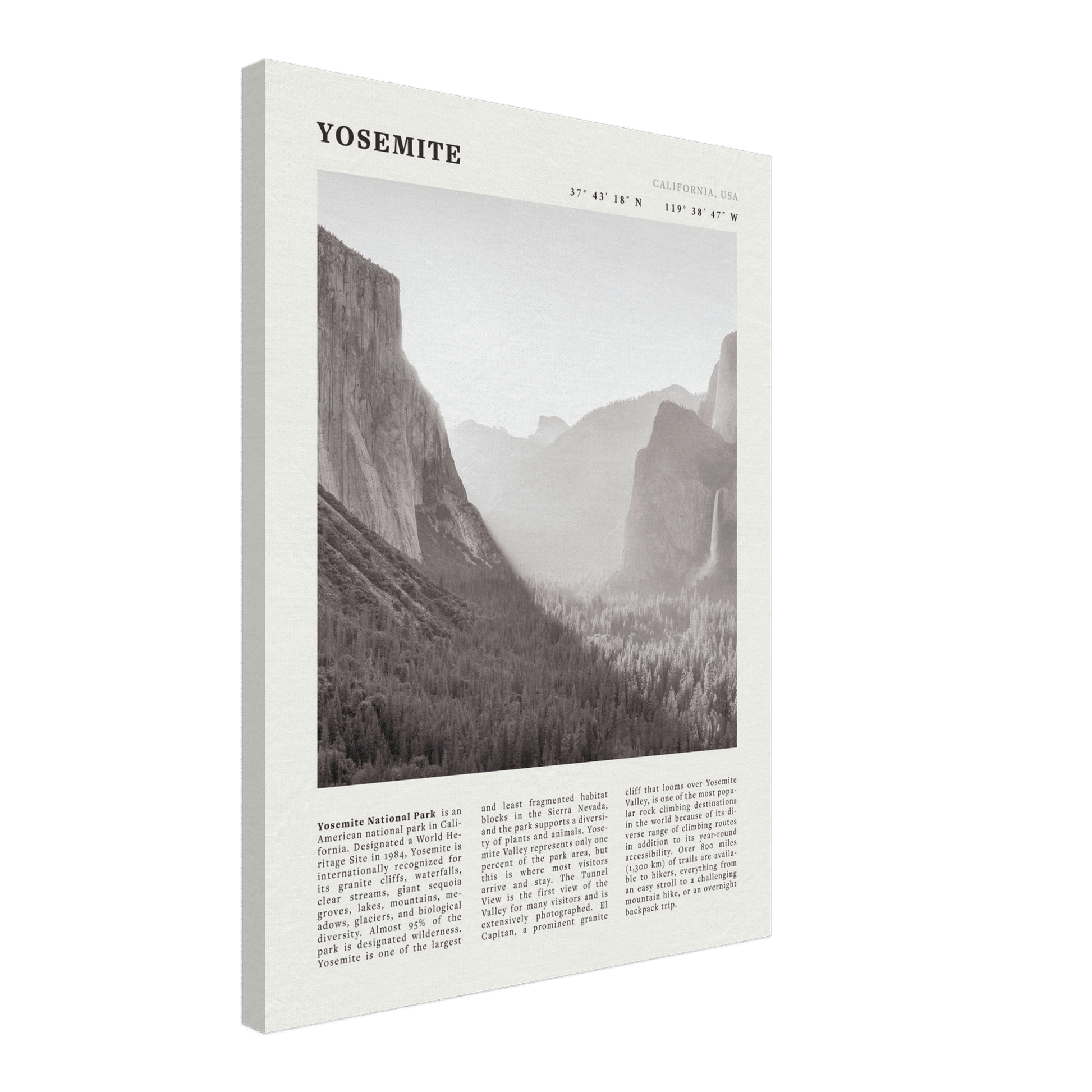 Yosemite Poster | Black & White National Park Wall Art | California Nature Print - Evergreen Posters