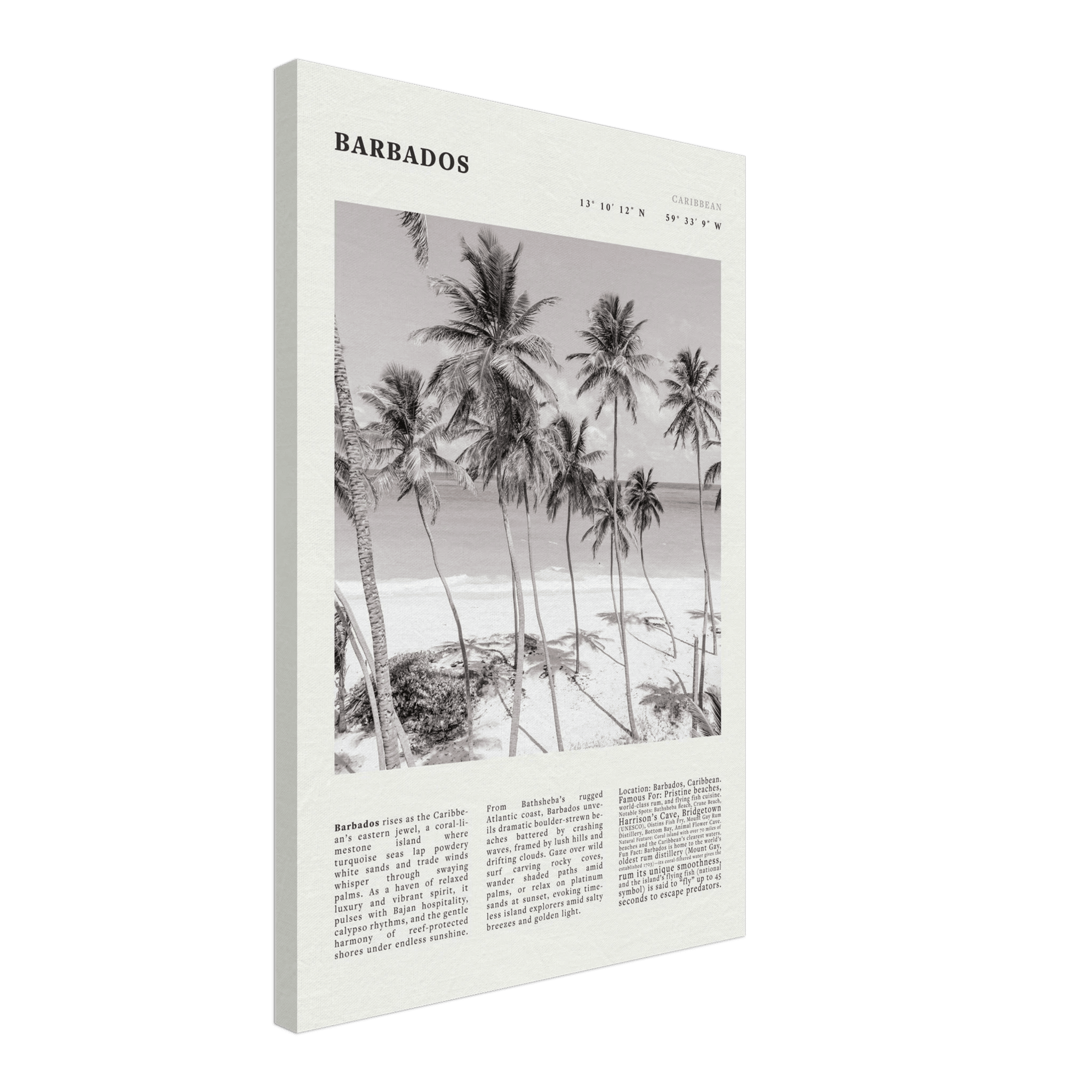 Barbados Poster Black and White – Vintage Caribbean Palm Beach Print (Digital & Printed Options) - Evergreen Posters