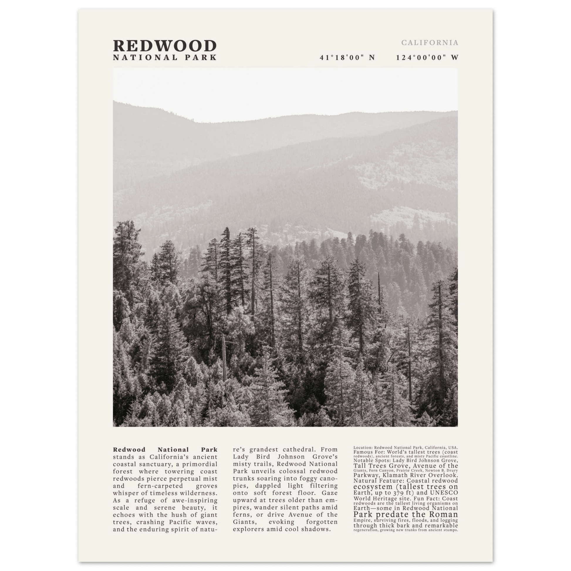 Redwood National Park Poster Black and White – Vintage Foggy Redwood Forest Print - Evergreen Posters