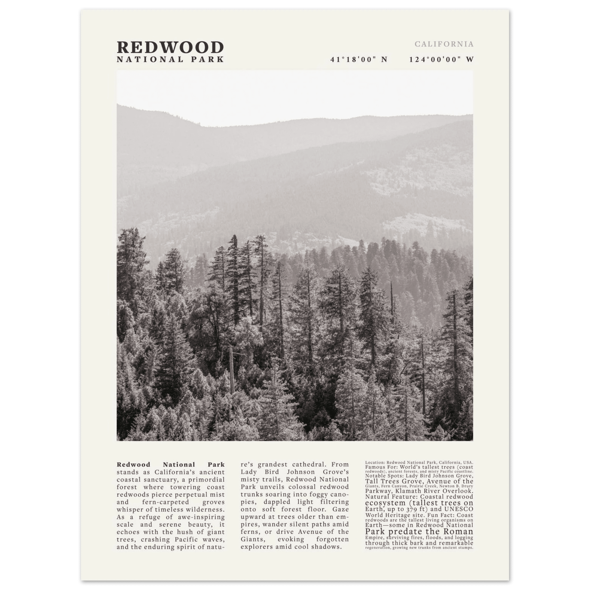 Redwood National Park Poster Black and White – Vintage Foggy Redwood Forest Print - Evergreen Posters