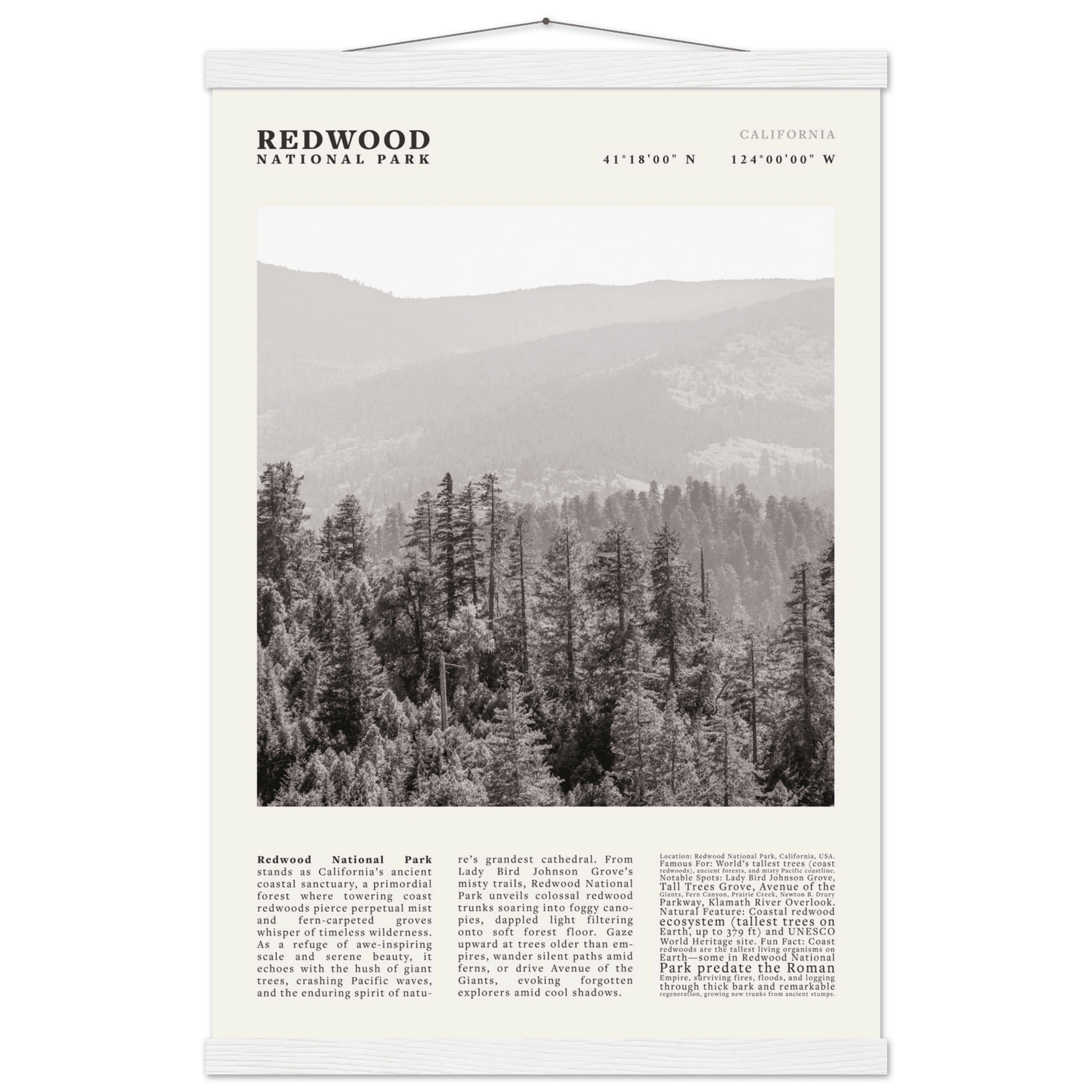 Redwood National Park Poster Black and White – Vintage Foggy Redwood Forest Print - Evergreen Posters