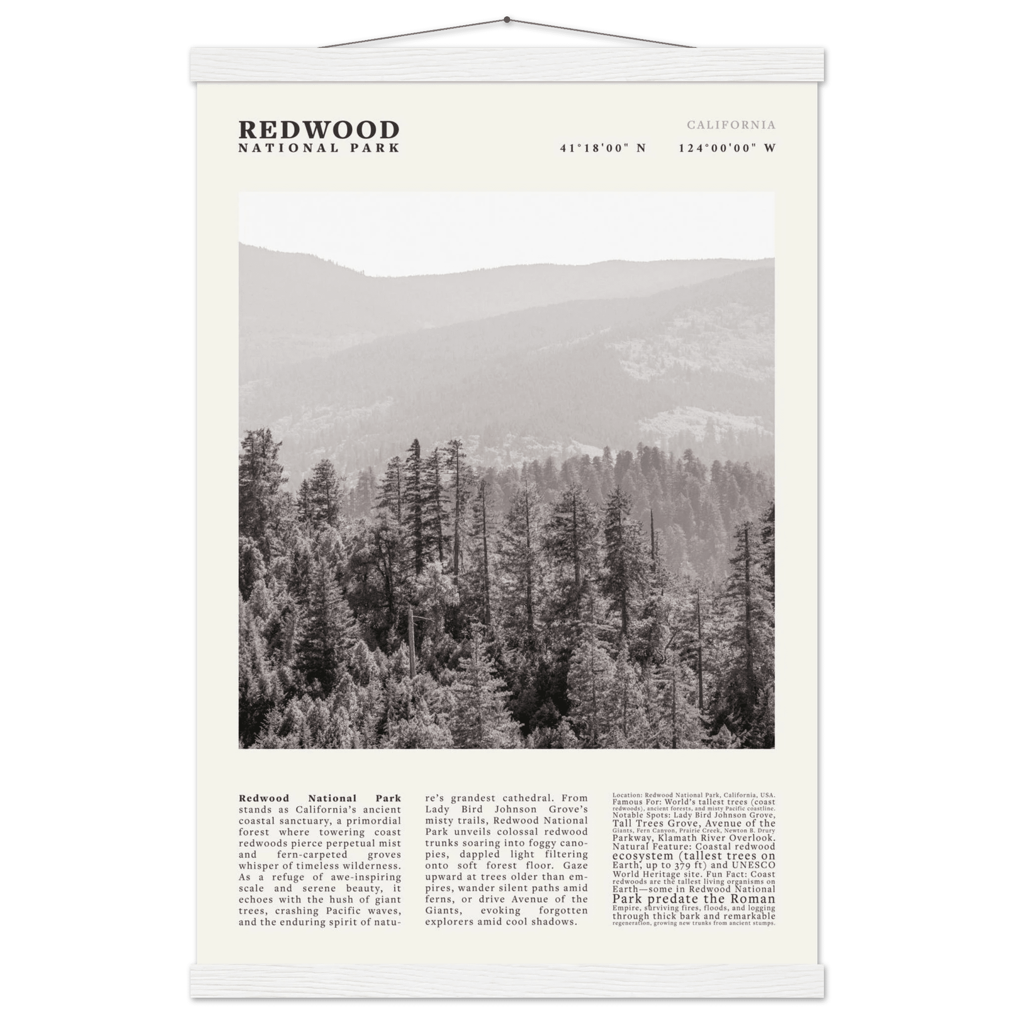 Redwood National Park Poster Black and White – Vintage Foggy Redwood Forest Print - Evergreen Posters