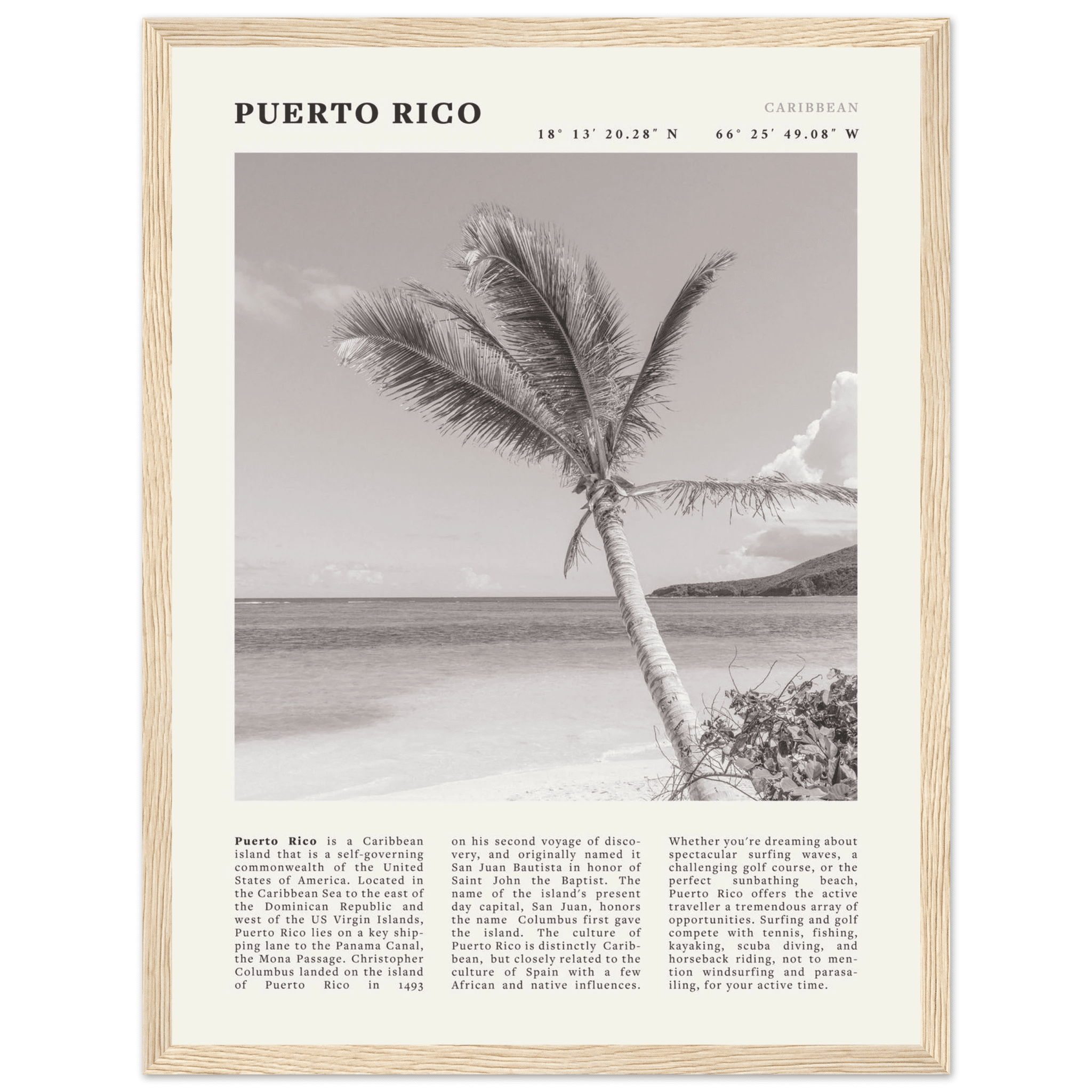 Puerto Rico Poster Black and White – Vintage Caribbean Palm Beach Print (Digital & Printed Options) - Evergreen Posters