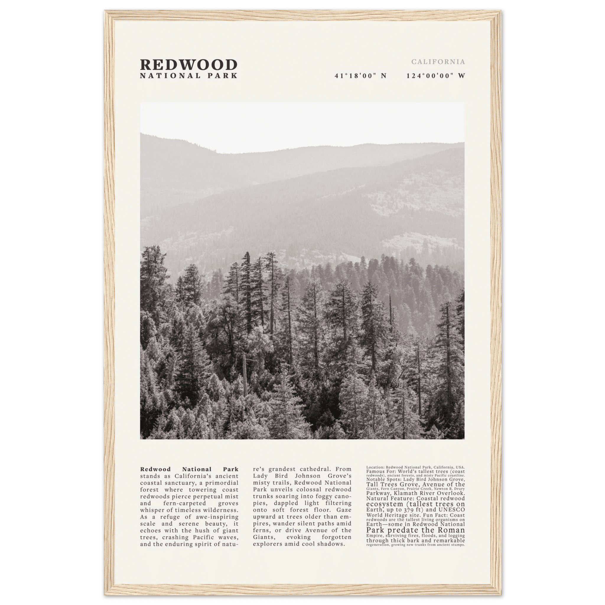 Redwood National Park Poster Black and White – Vintage Foggy Redwood Forest Print - Evergreen Posters