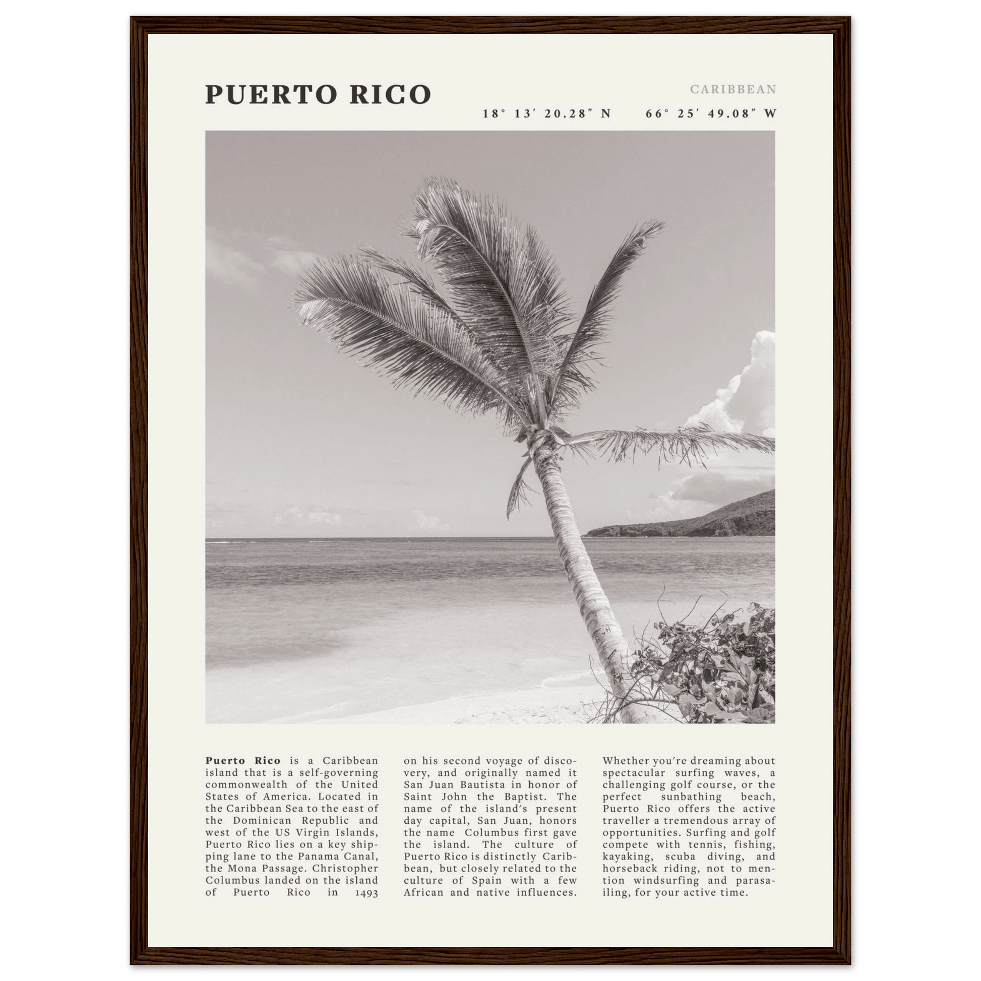 Puerto Rico Poster Black and White – Vintage Caribbean Palm Beach Print (Digital & Printed Options) - Evergreen Posters