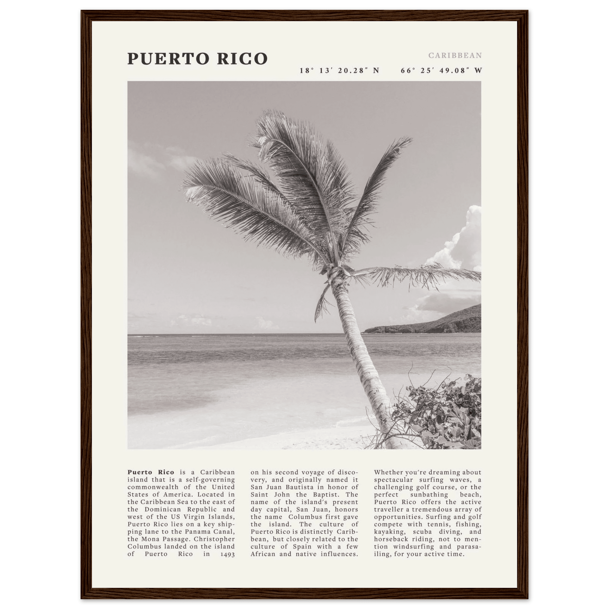Puerto Rico Poster Black and White – Vintage Caribbean Palm Beach Print (Digital & Printed Options) - Evergreen Posters