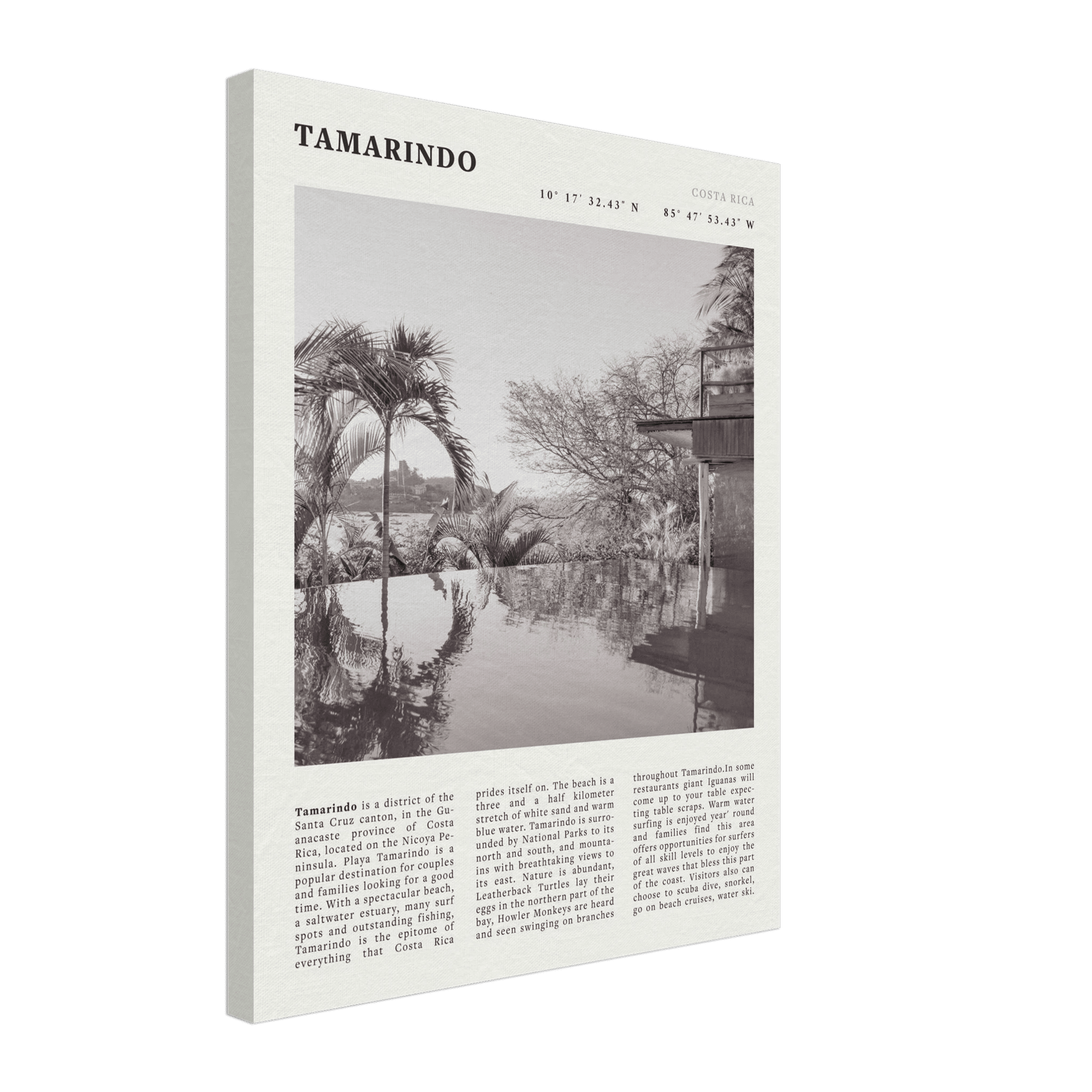 Tamarindo Poster | Black & White Costa Rica Beach Wall Art | Surf Travel Print - Evergreen Posters