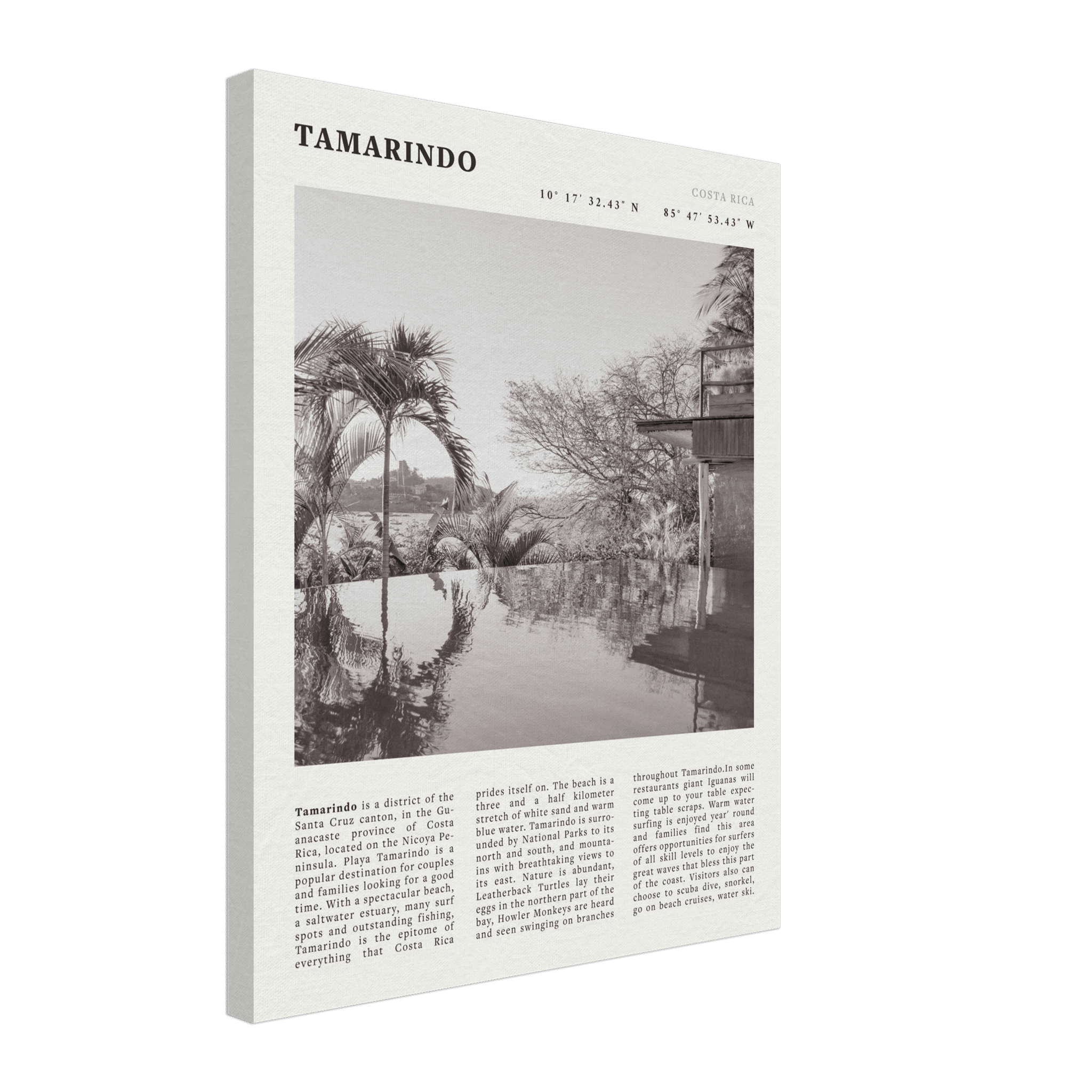 Tamarindo Poster | Black & White Costa Rica Beach Wall Art | Surf Travel Print - Evergreen Posters