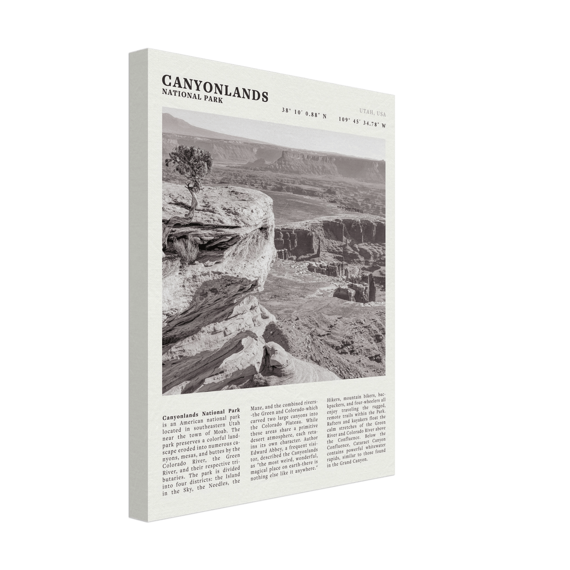 Canyonlands National Park Poster | Black & White Utah Wall Art | Canyon Travel Print - Evergreen Posters