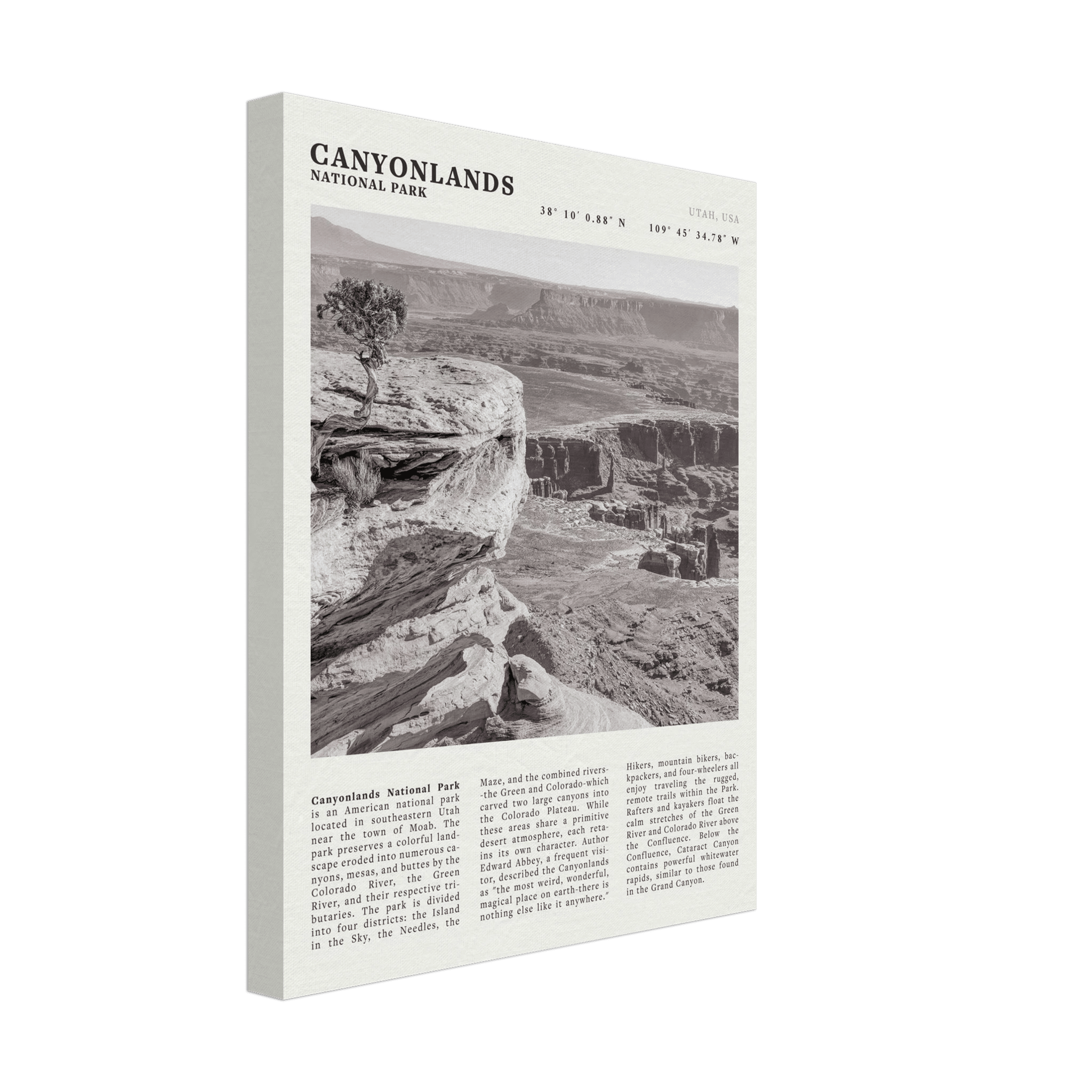 Canyonlands National Park Poster | Black & White Utah Wall Art | Canyon Travel Print - Evergreen Posters