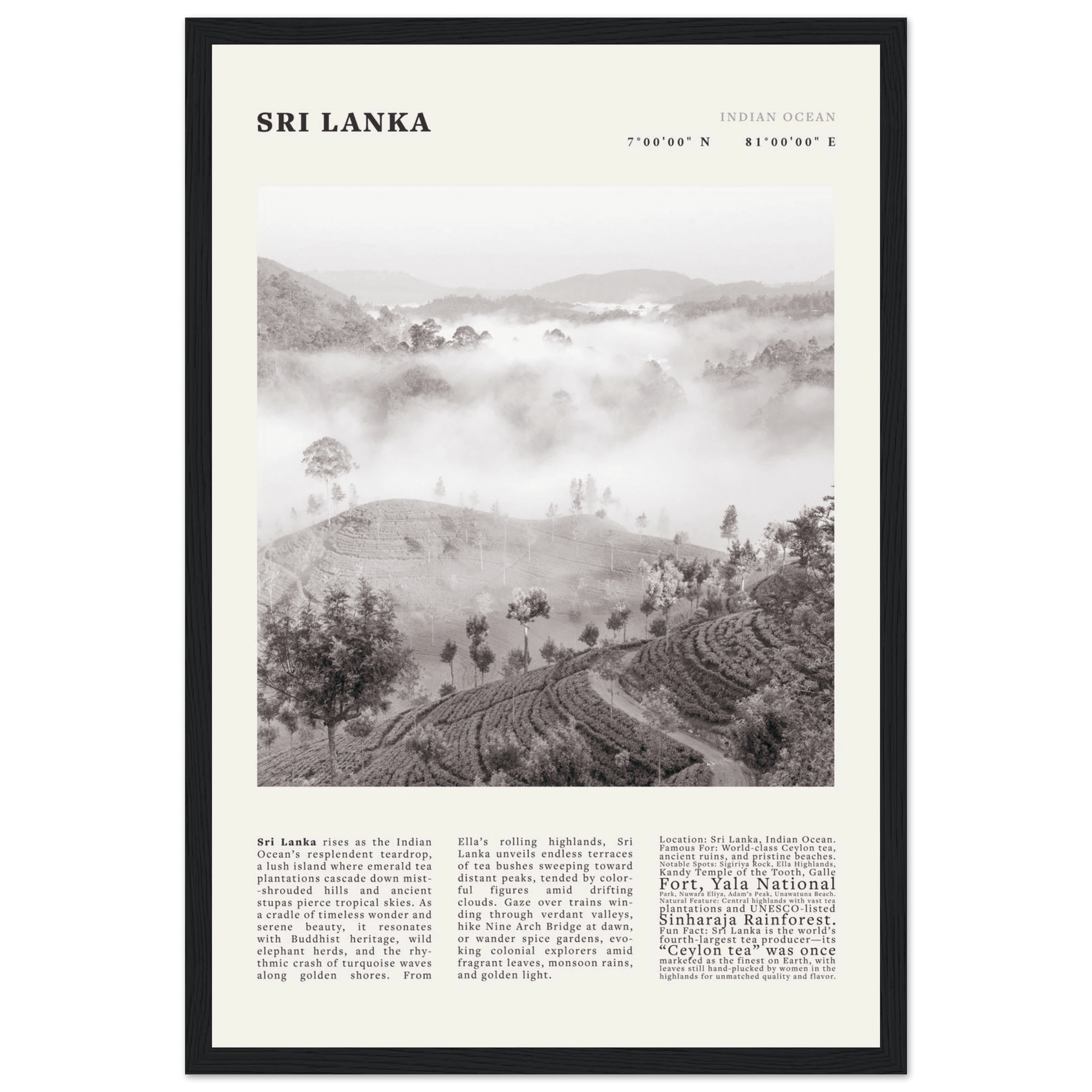 Sri Lanka Poster Black and White – Vintage Ceylon Tea Plantation Print (Digital & Printed Options) - Evergreen Posters