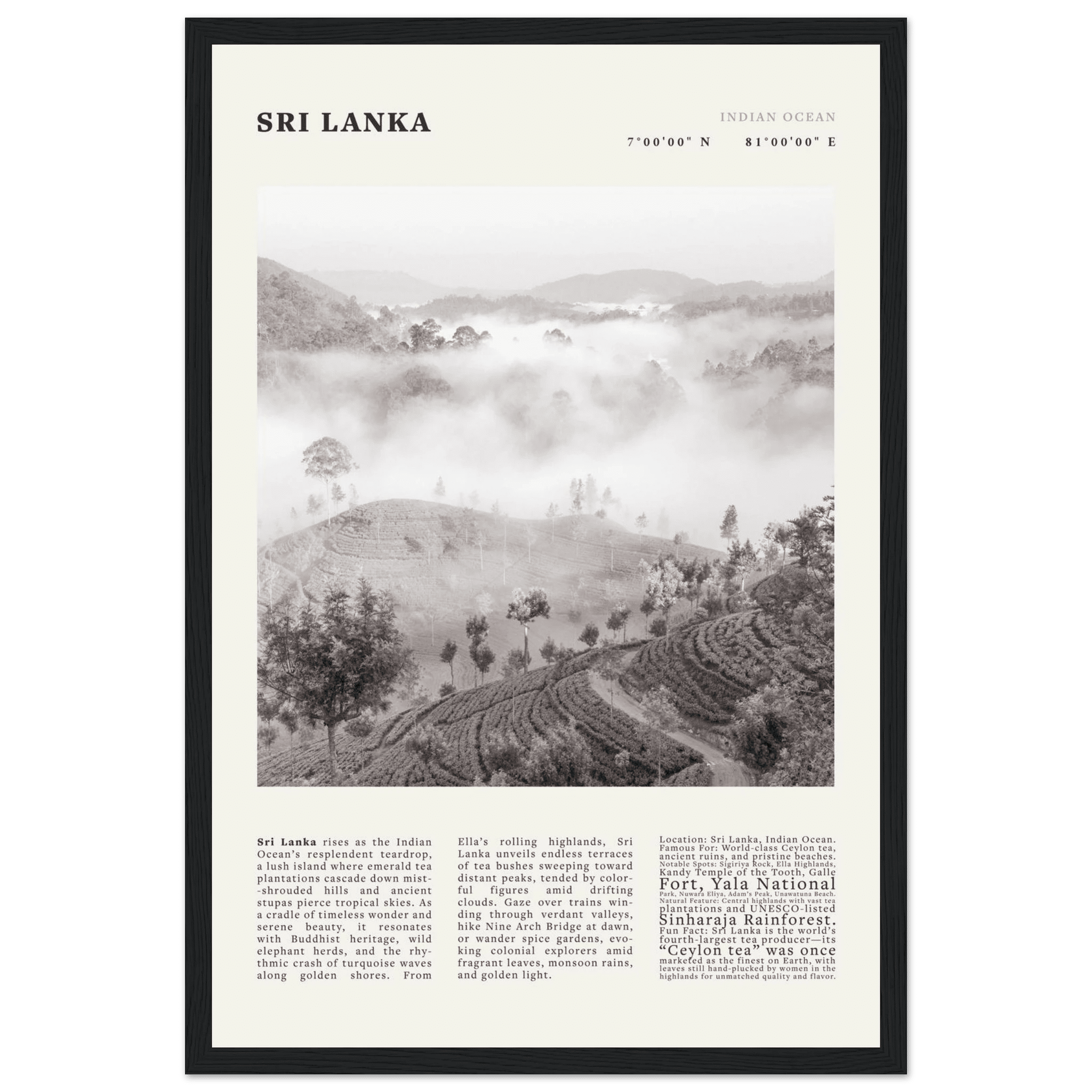 Sri Lanka Poster Black and White – Vintage Ceylon Tea Plantation Print (Digital & Printed Options) - Evergreen Posters