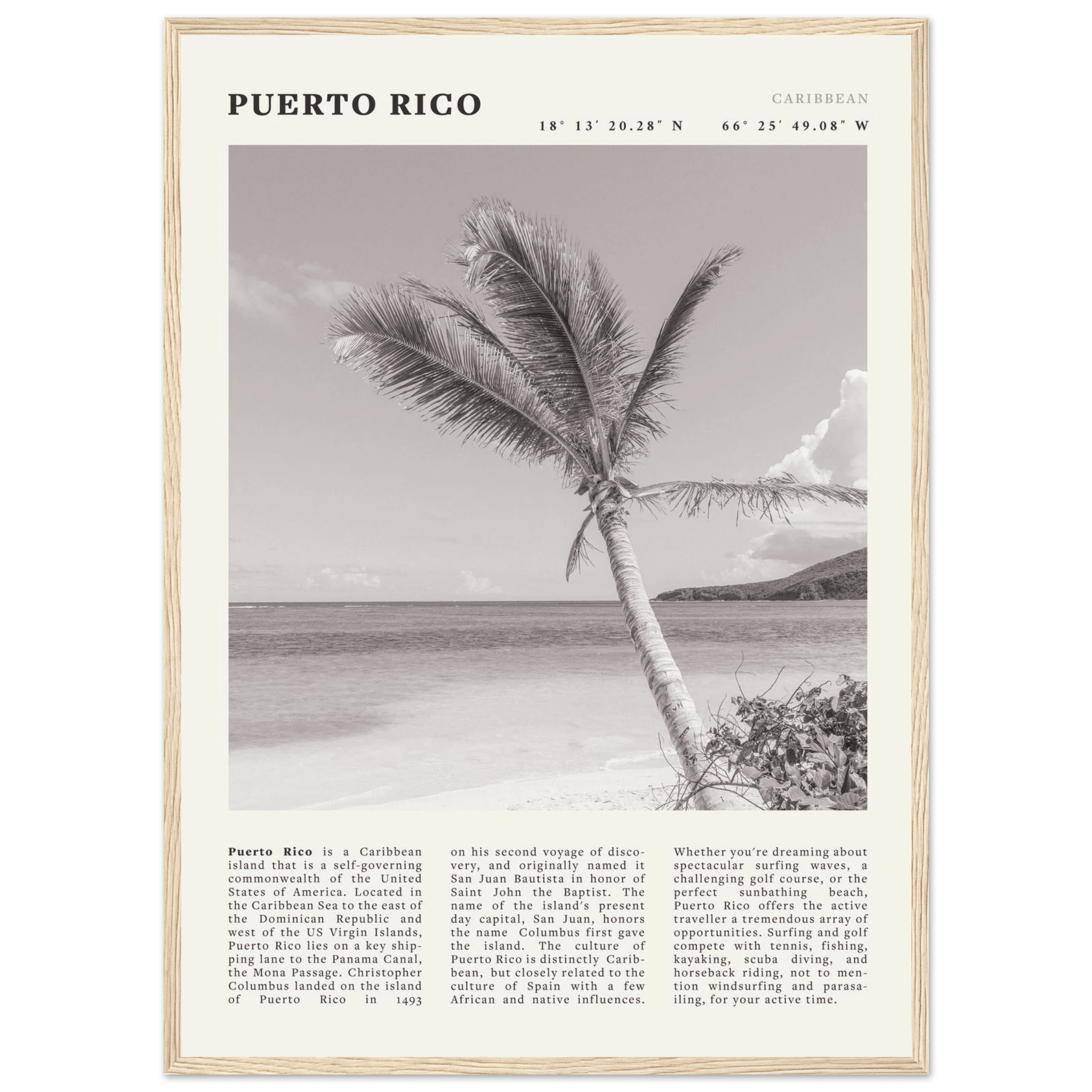 Puerto Rico Poster Black and White – Vintage Caribbean Palm Beach Print (Digital & Printed Options) - Evergreen Posters