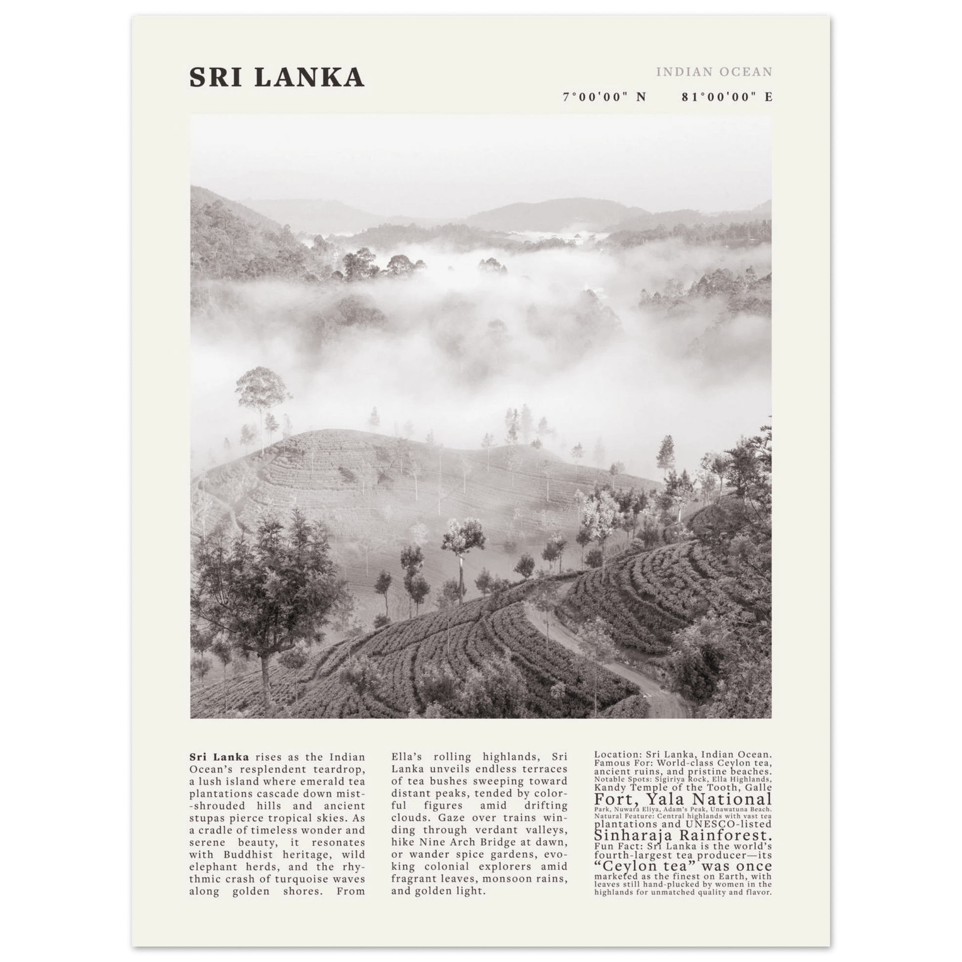 Sri Lanka Poster Black and White – Vintage Ceylon Tea Plantation Print (Digital & Printed Options) - Evergreen Posters