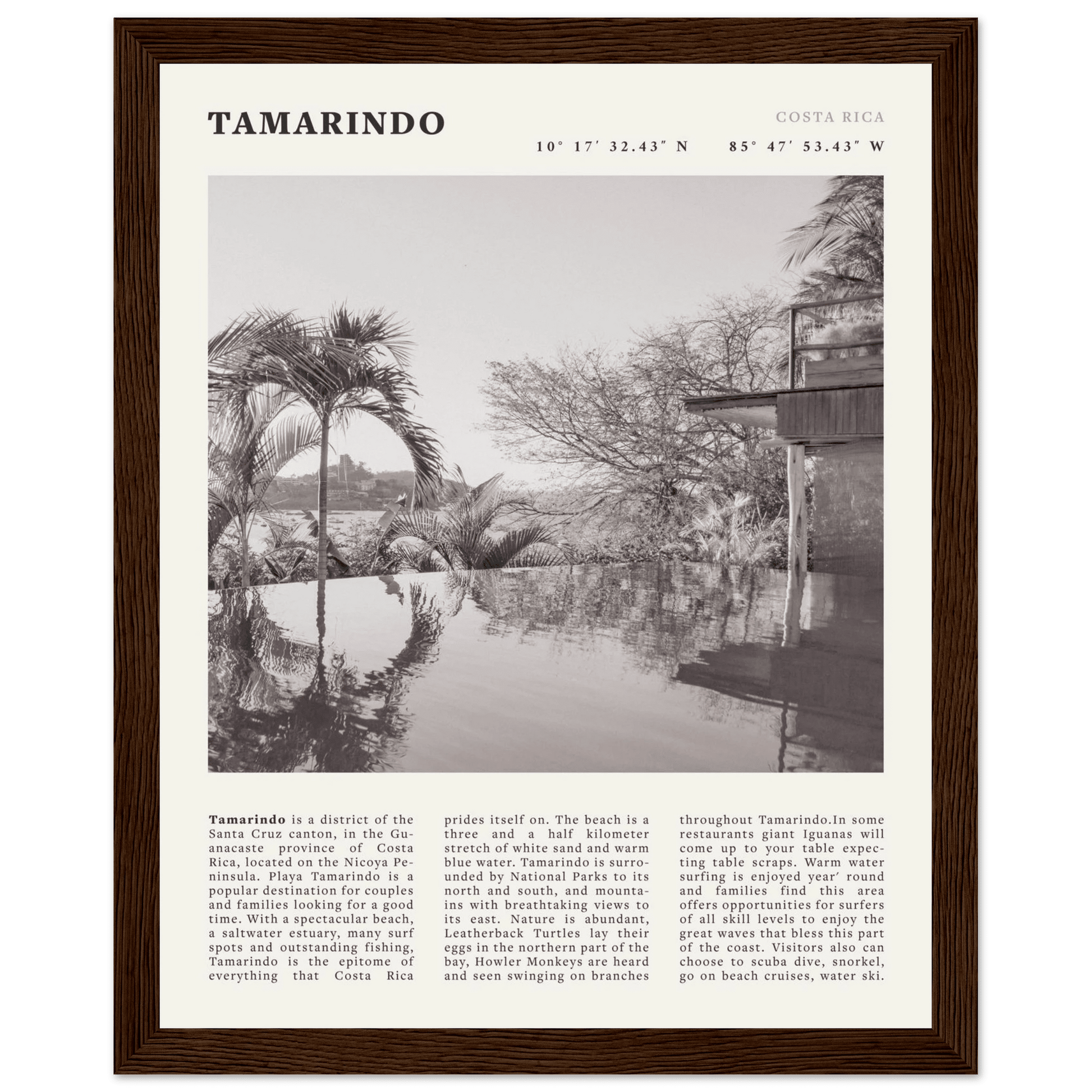 Tamarindo Poster | Black & White Costa Rica Beach Wall Art | Surf Travel Print - Evergreen Posters