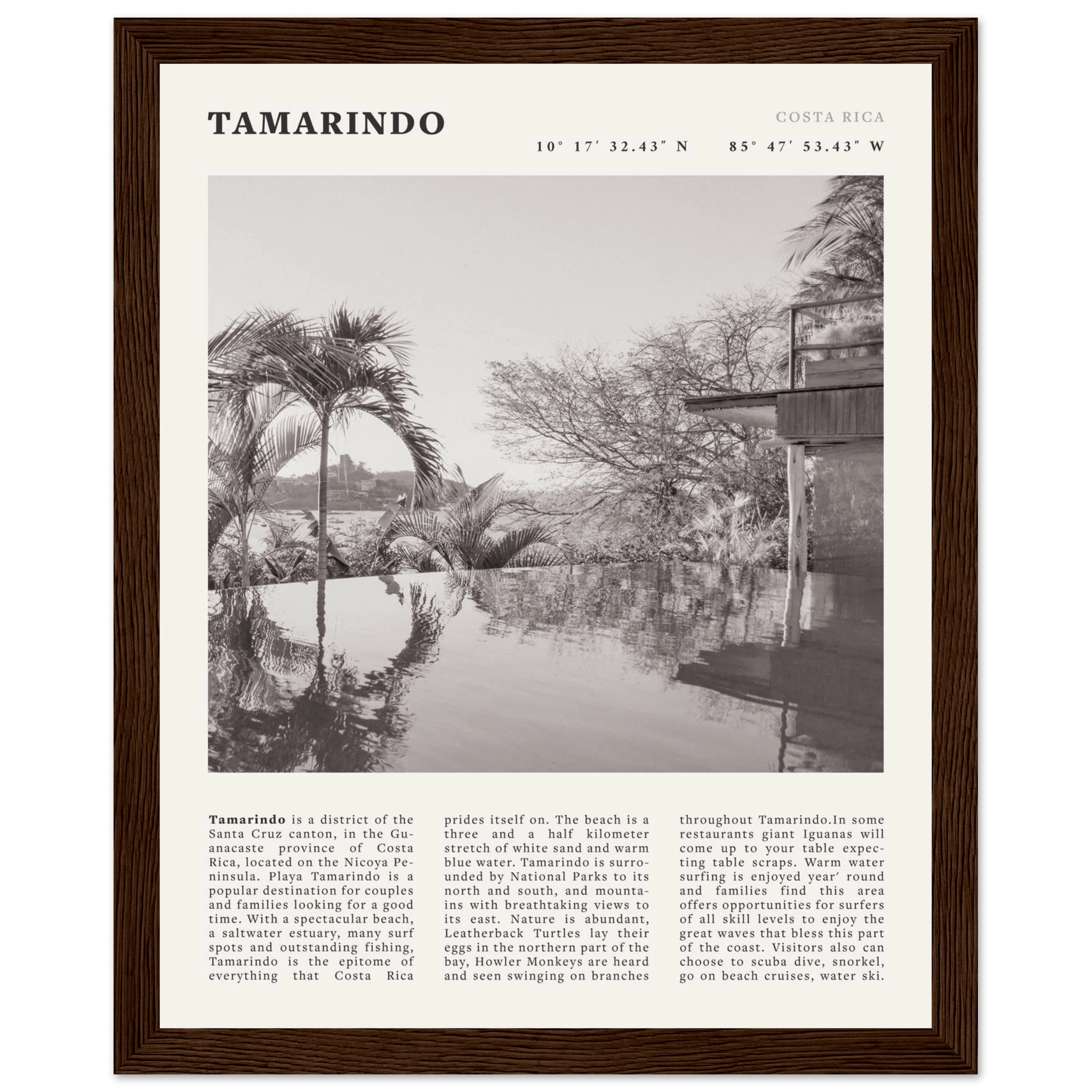 Tamarindo Poster | Black & White Costa Rica Beach Wall Art | Surf Travel Print - Evergreen Posters